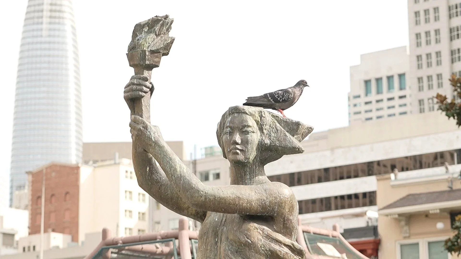 C0188 00_00_07.28.jpg