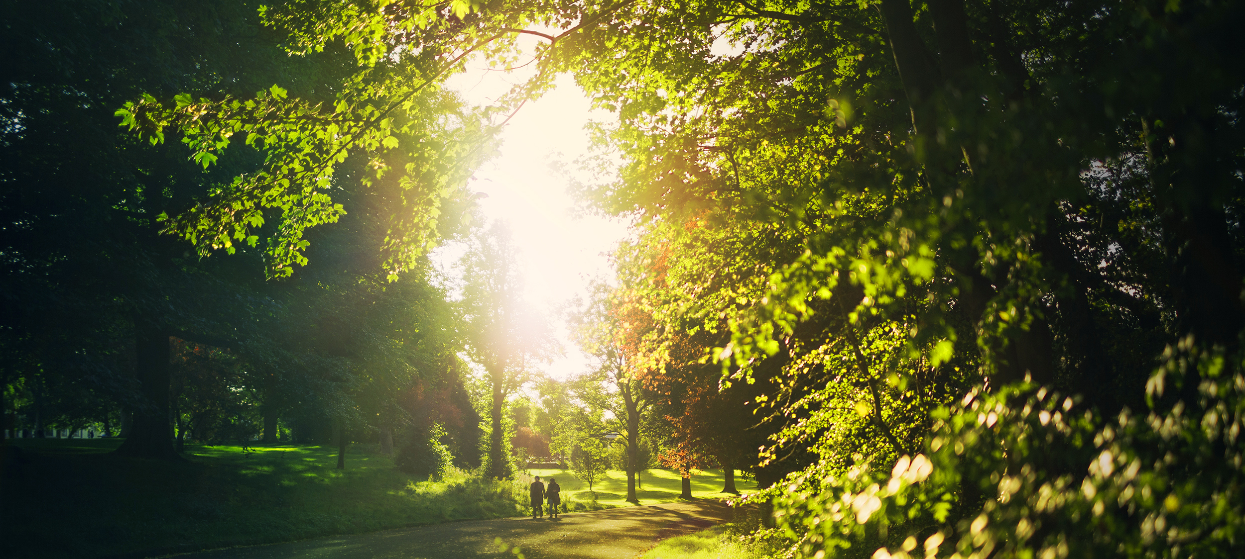 Walk-in-Garden-Poster.jpg