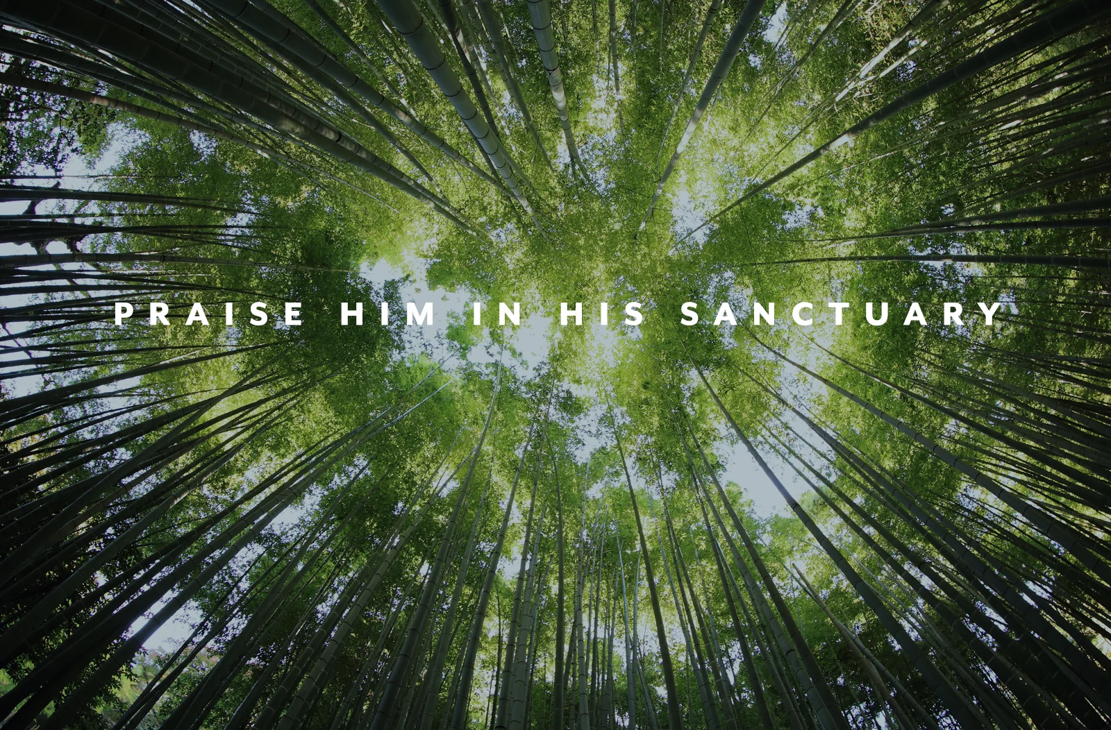Praise Him