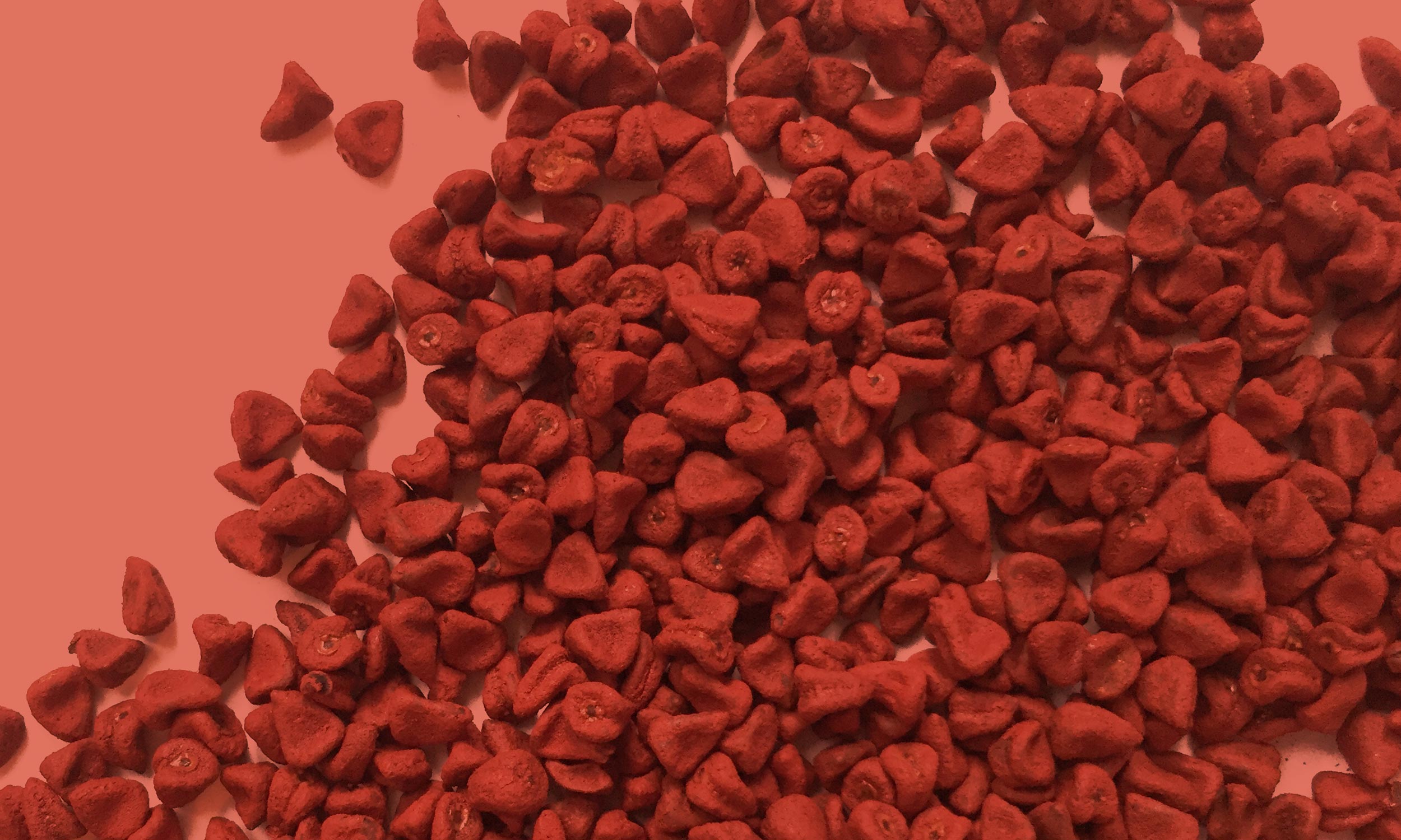 SH_GMCereals_Image_5.jpg