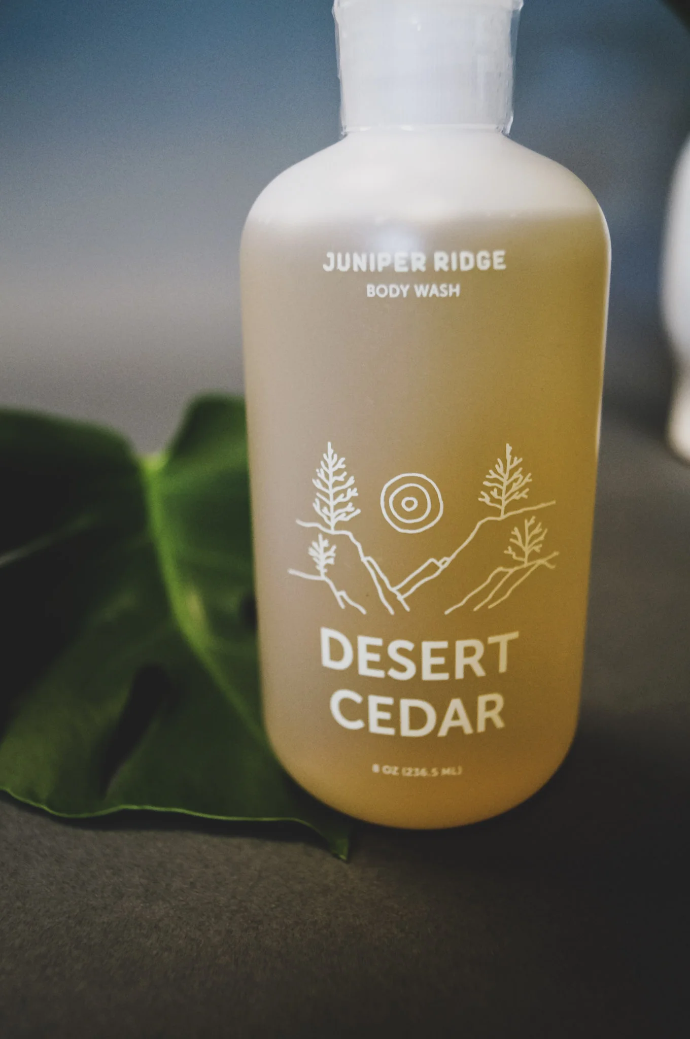 Juniper Ridge Desert Ceder Body Wash.jpg