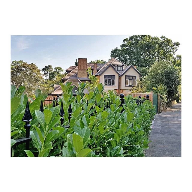 Almendra Studio — Architecture & Design