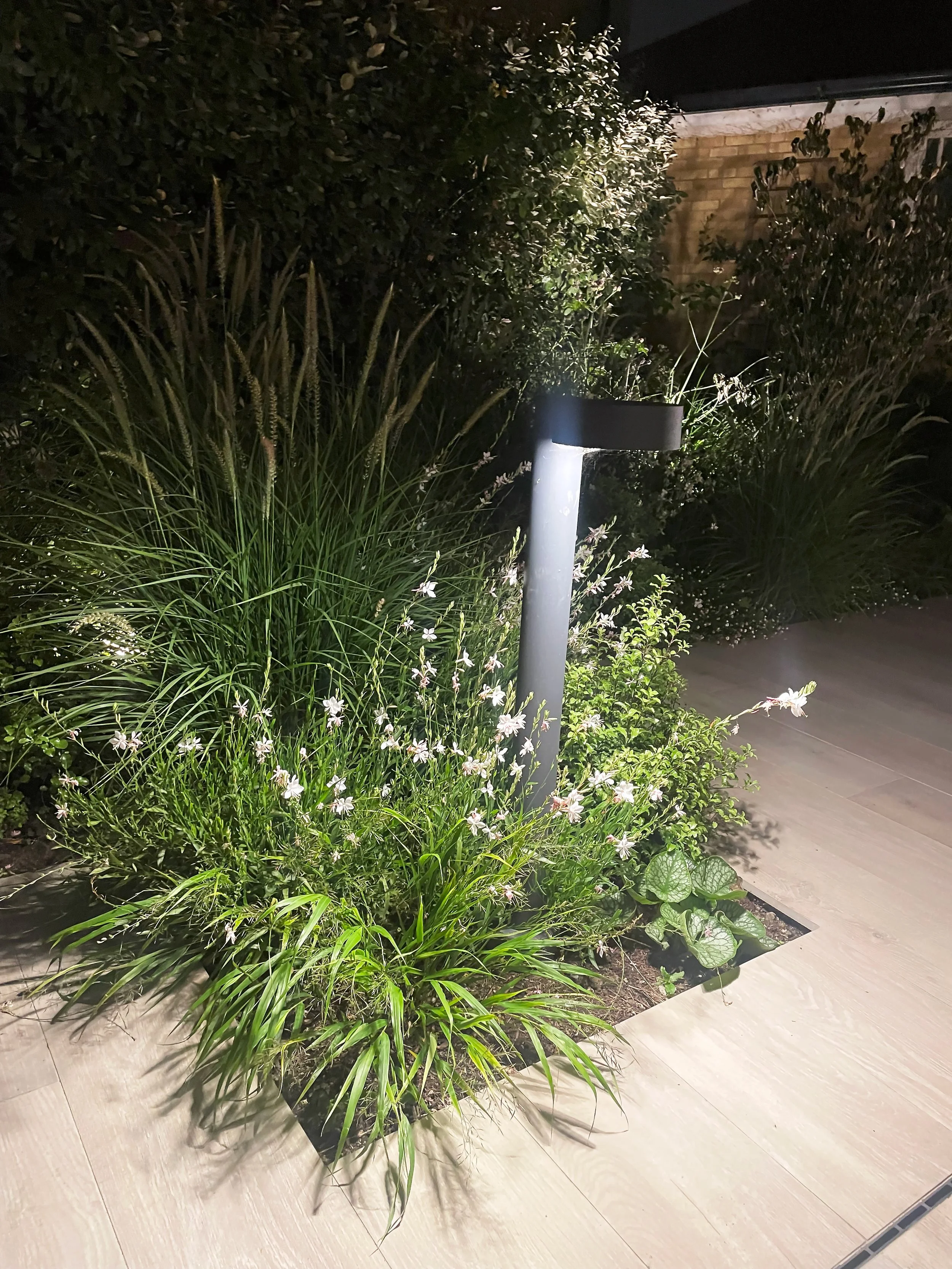 Wild green landscape design featuring modern architectural lighting part of a full home renovation in Barnes, London, SW13.