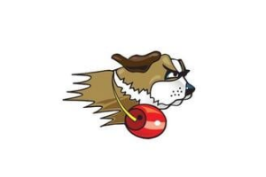 Fighting Saints