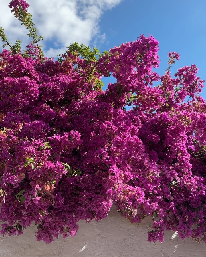 June was a lot. 
A lot. 
A lot 🫠

But the moments in between? ✨💕
1-2. Granada 
3-4. Marbella 
5. incredible immersive art experience 
6. best friend hosting entrepreneur events 
7. Stylish dinner party
8. My private tutor getting me through exams 
