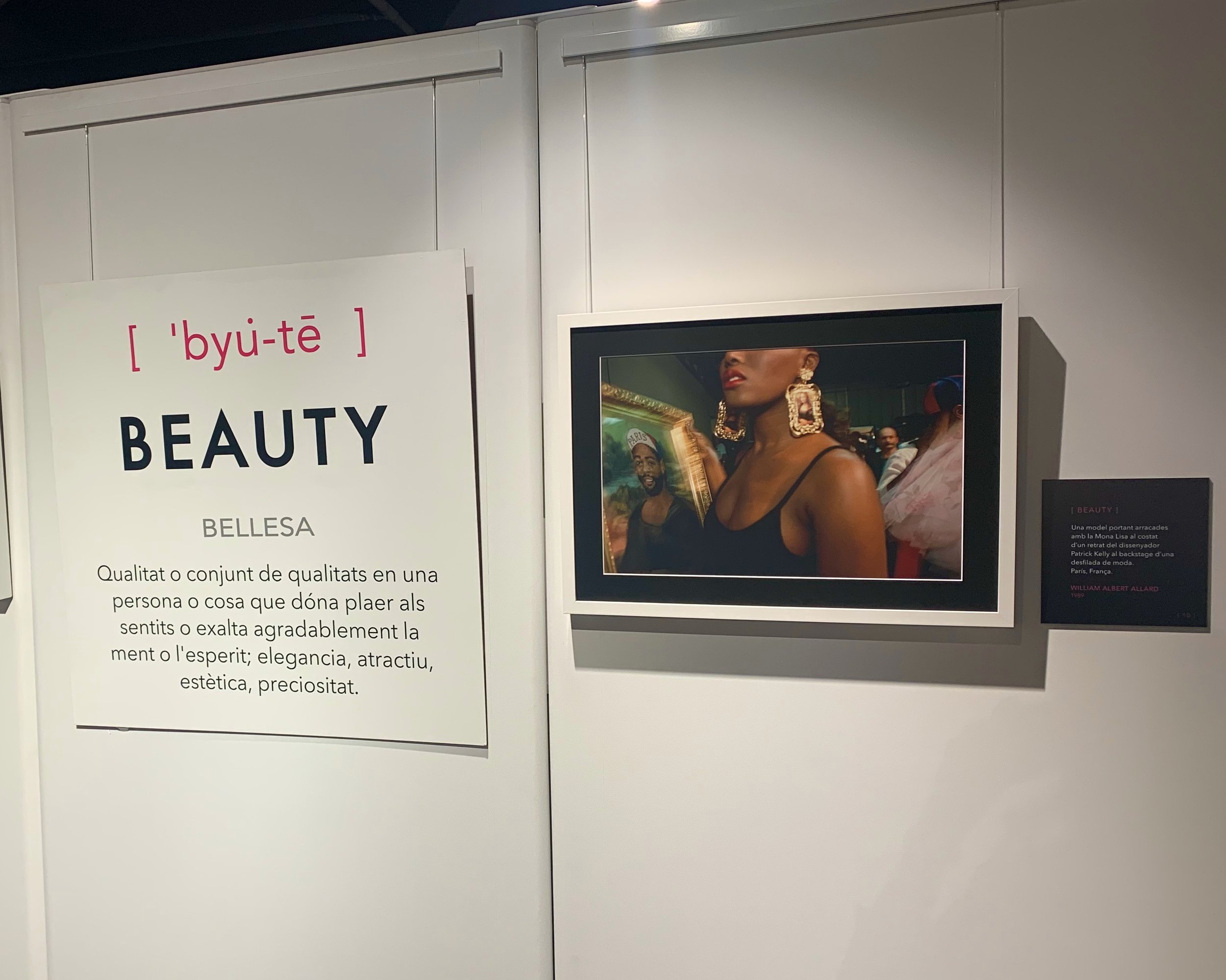 picture of beauty description portion of national geographics "women" exhibit