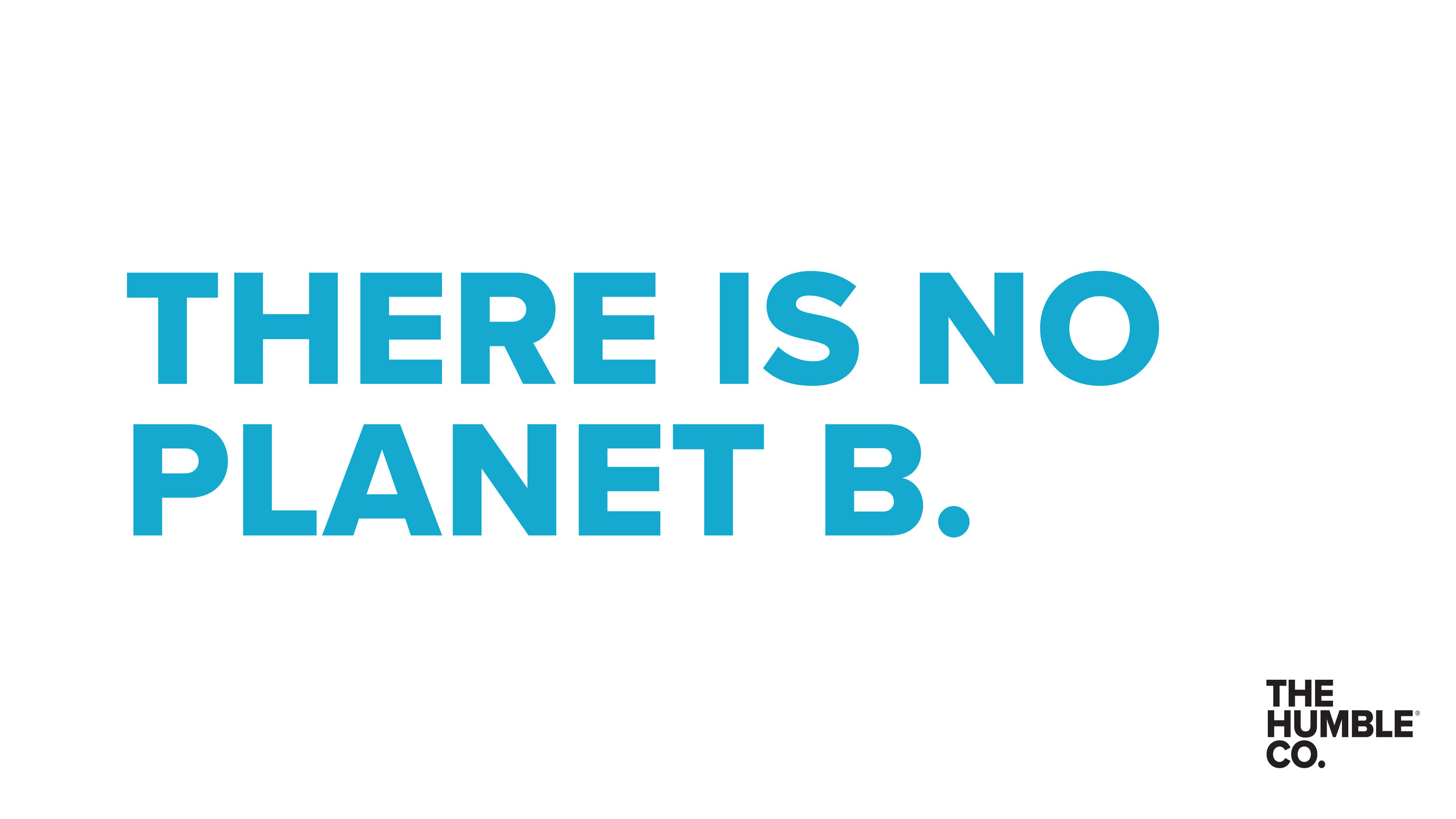 There is no planet B (1).jpg