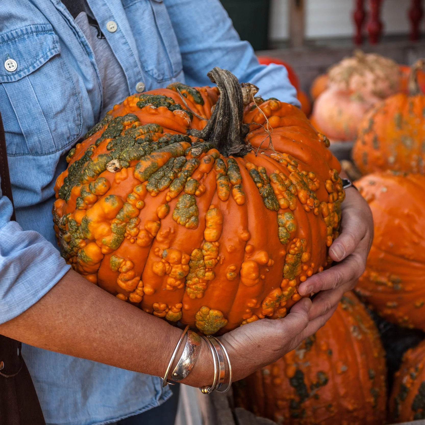 AdobeStock_177590491.jpeg