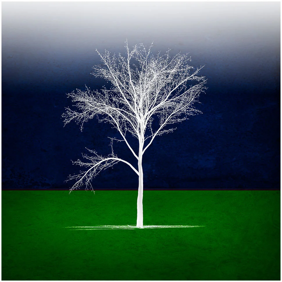 White Tree