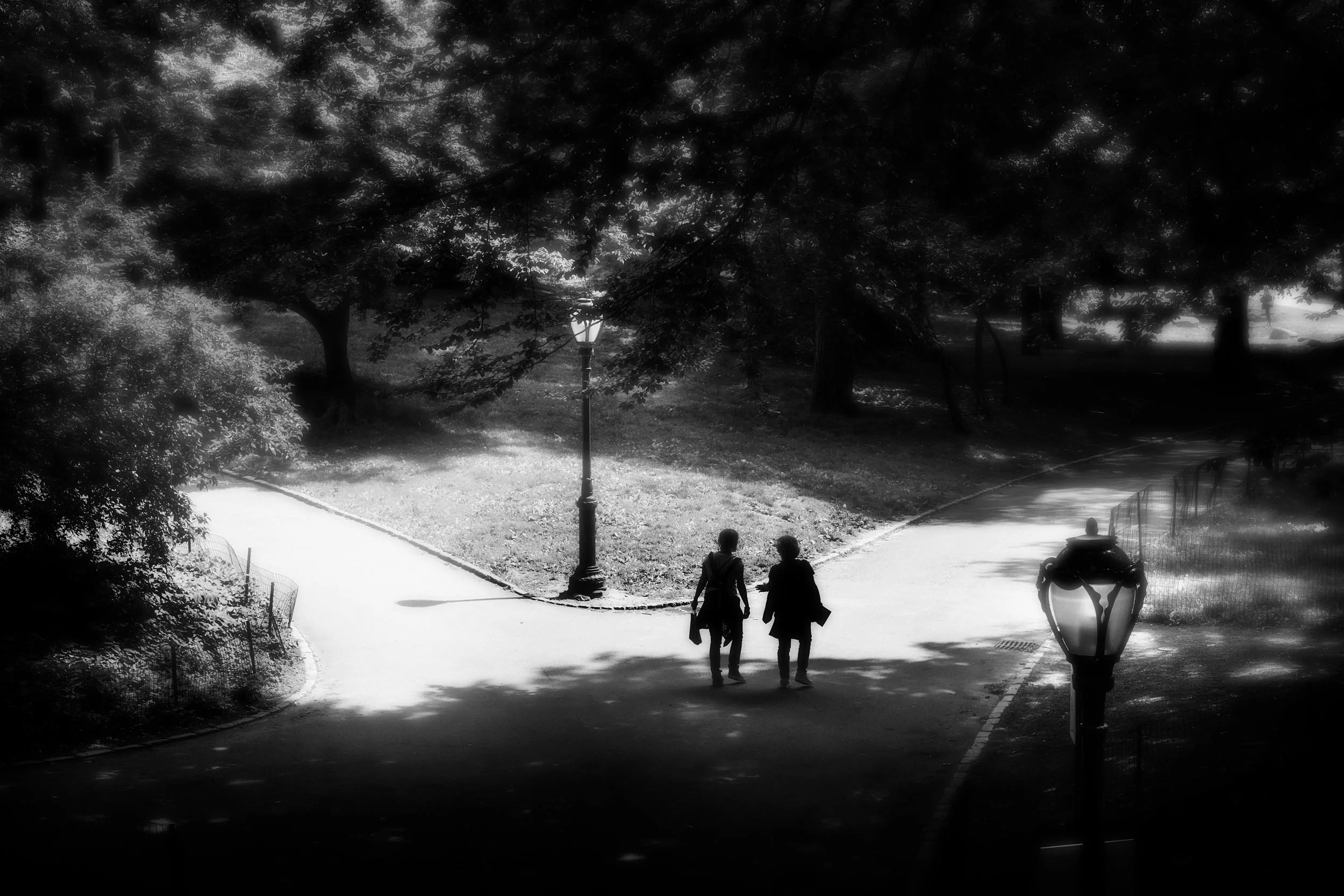 Walkers, Central Park, NYC 14"x20" Edition of 20