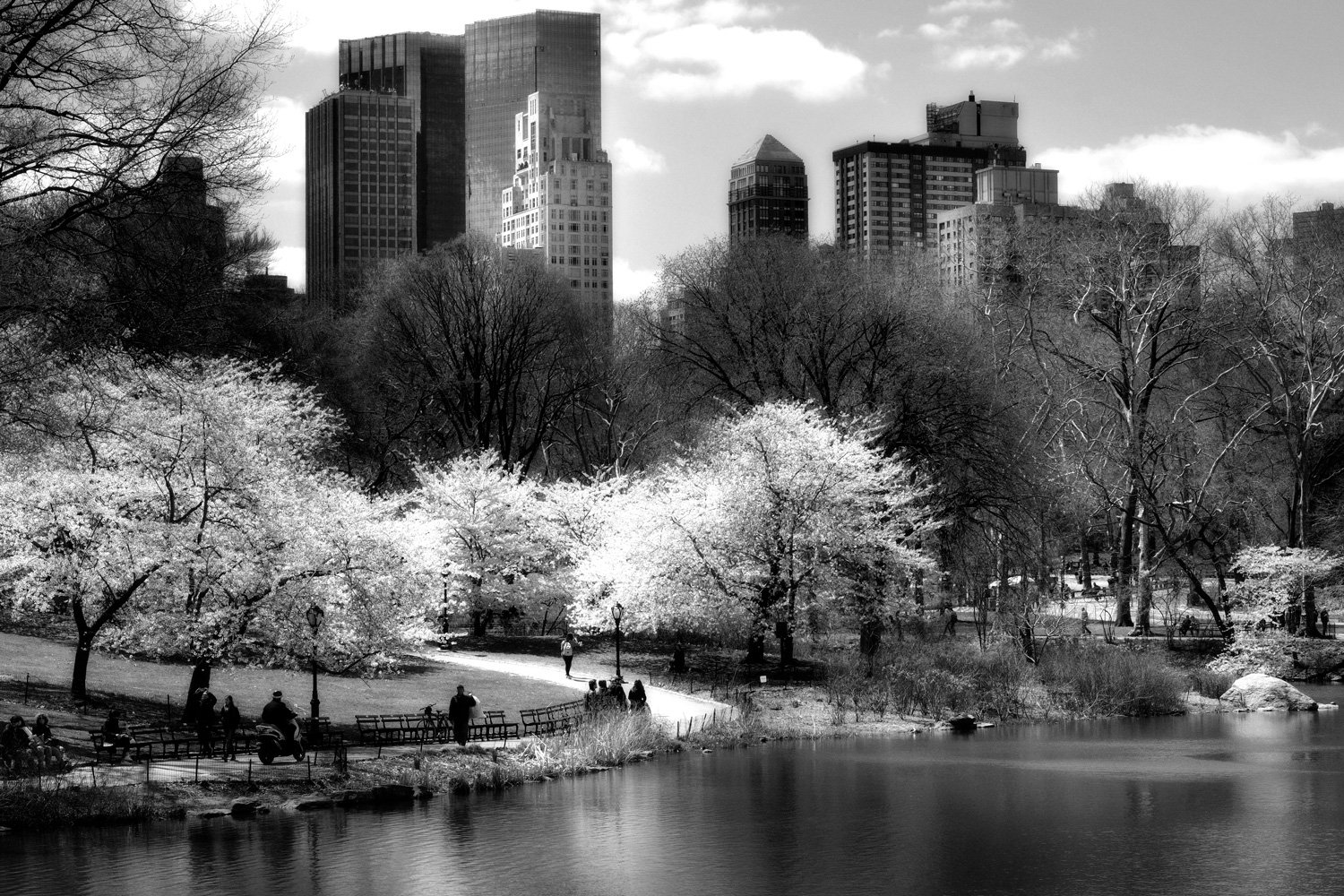  Pond and West View, Central Park 
