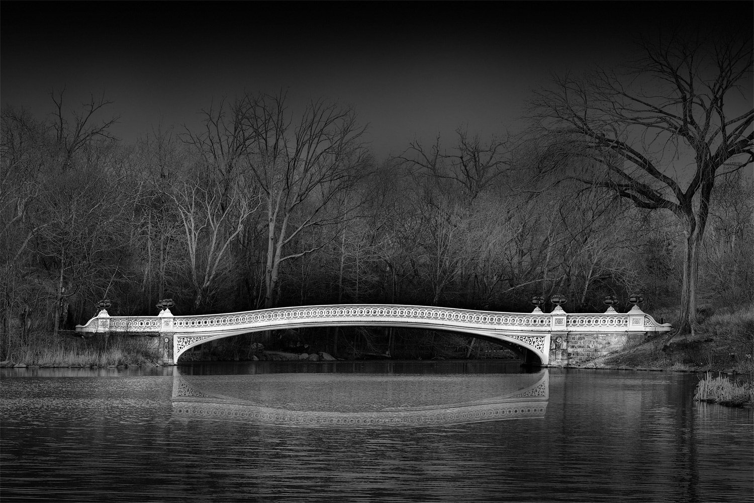  The Bow Bridge, Central Park 