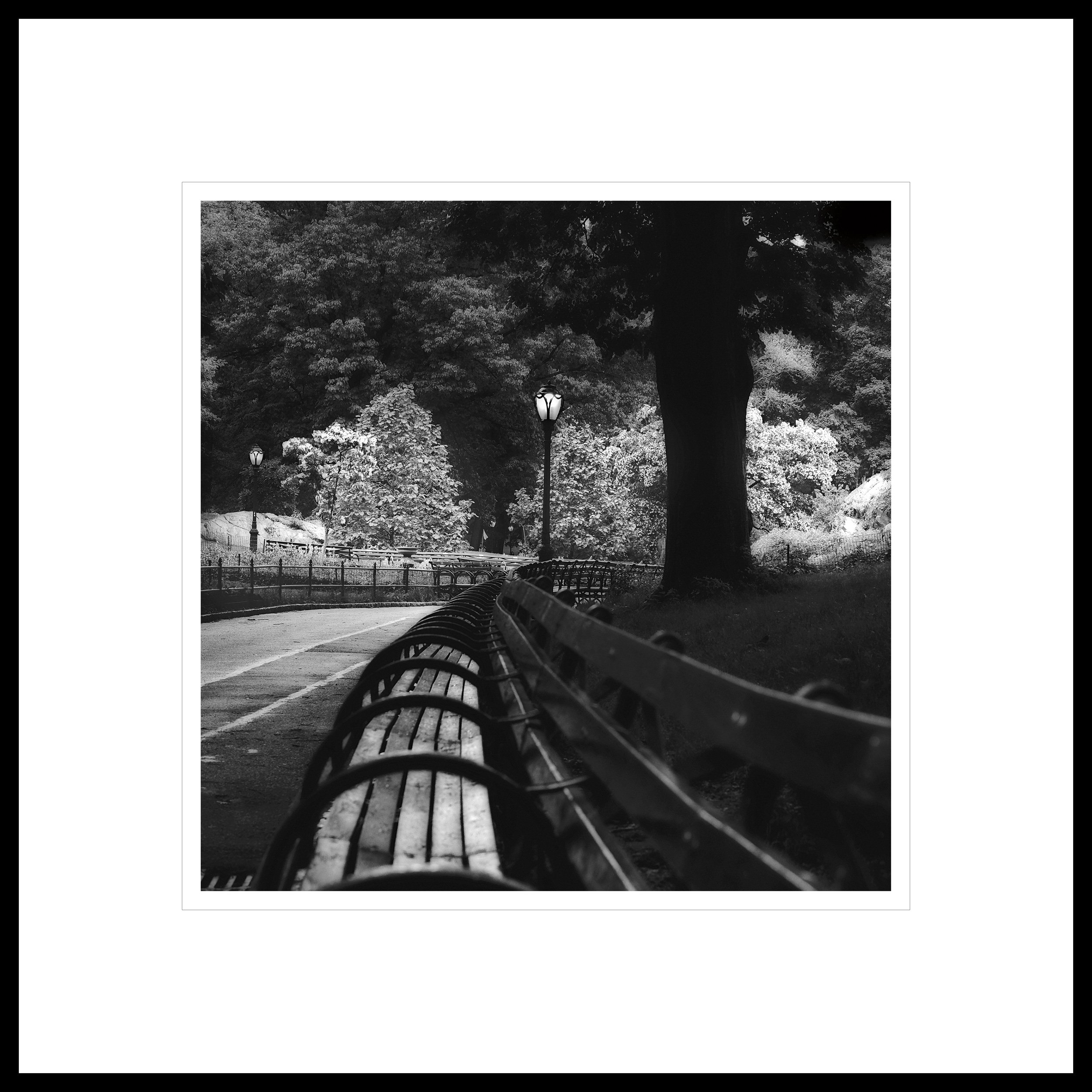   “Park Bench and Path”  