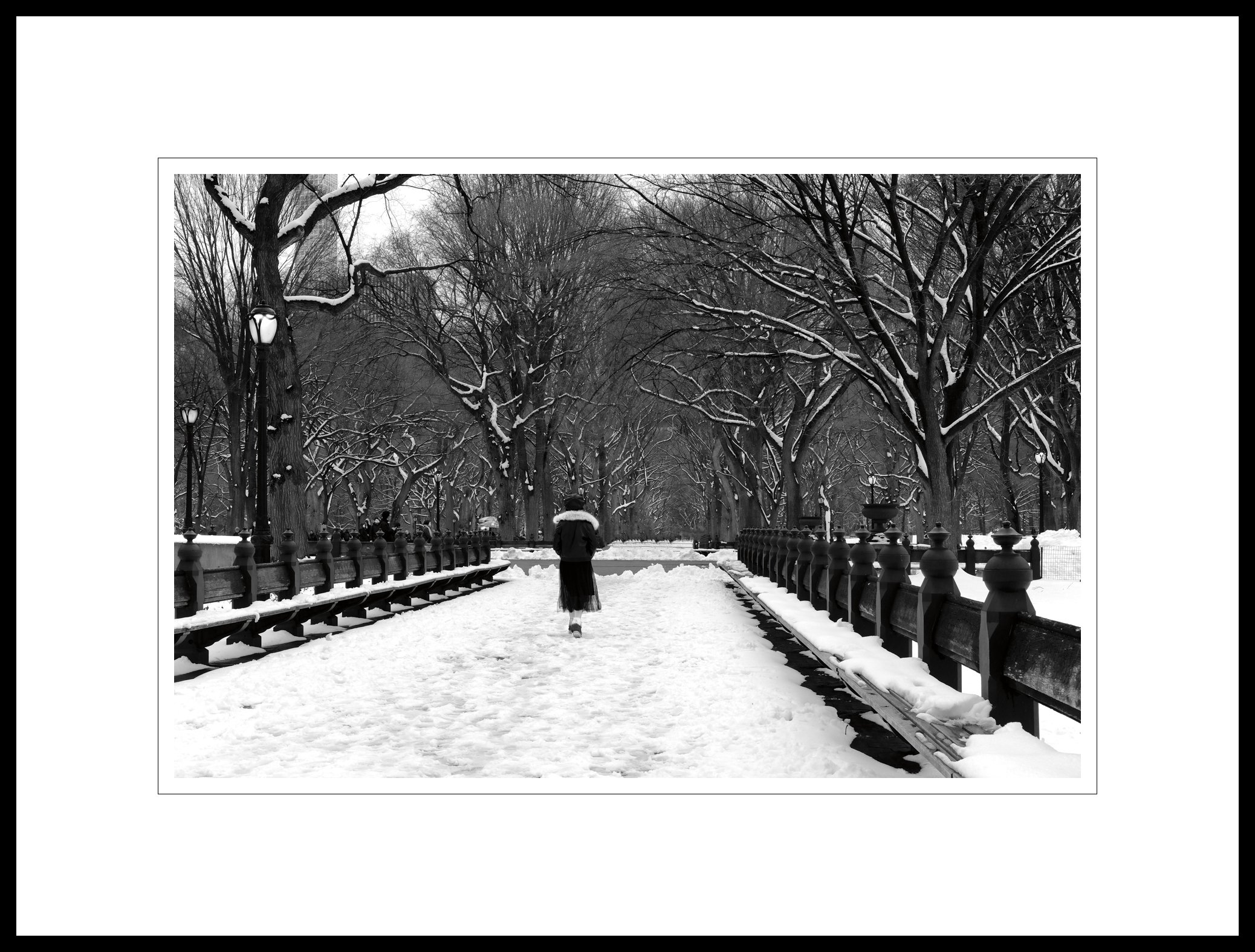   “Winter Walk”  