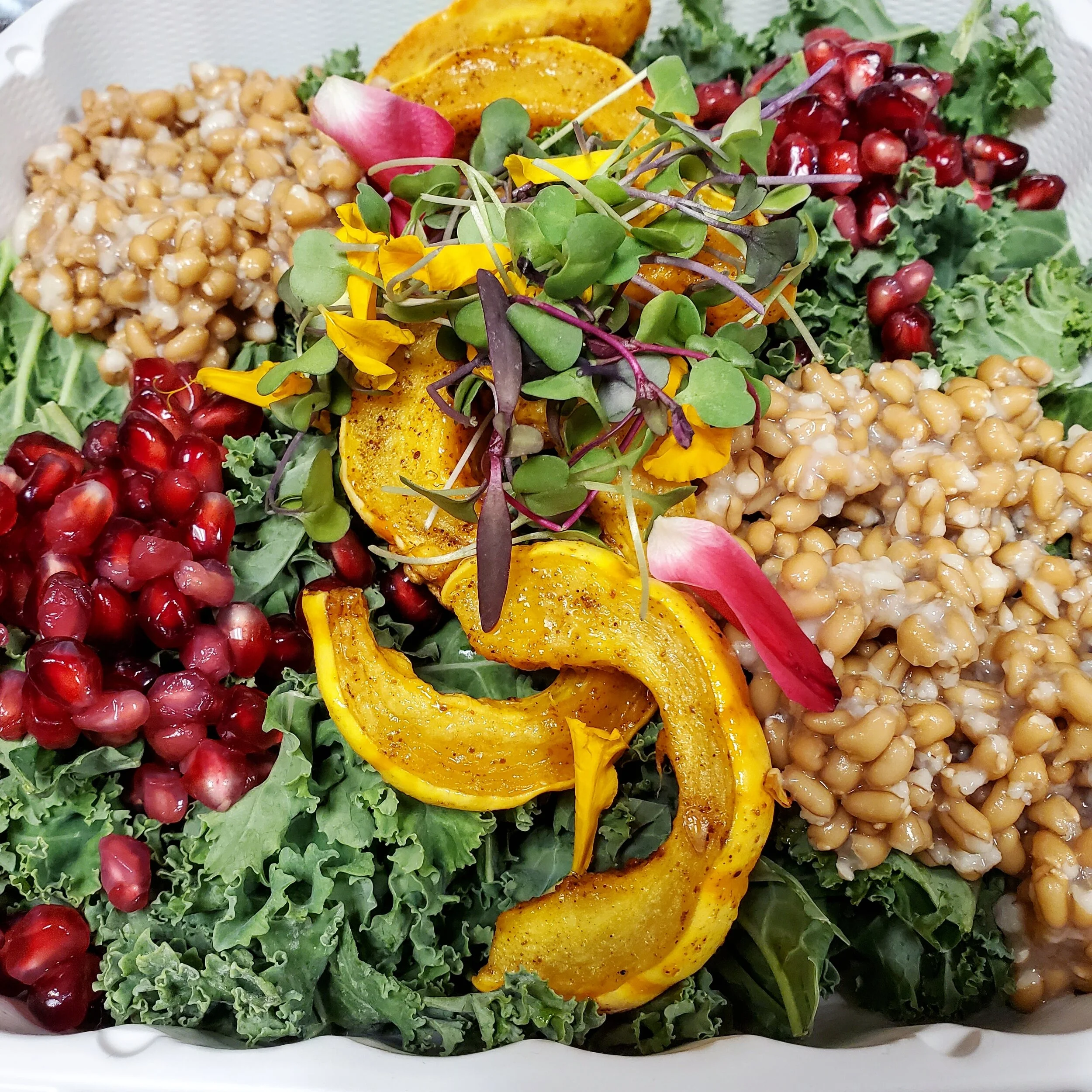 harvest salad.jpg