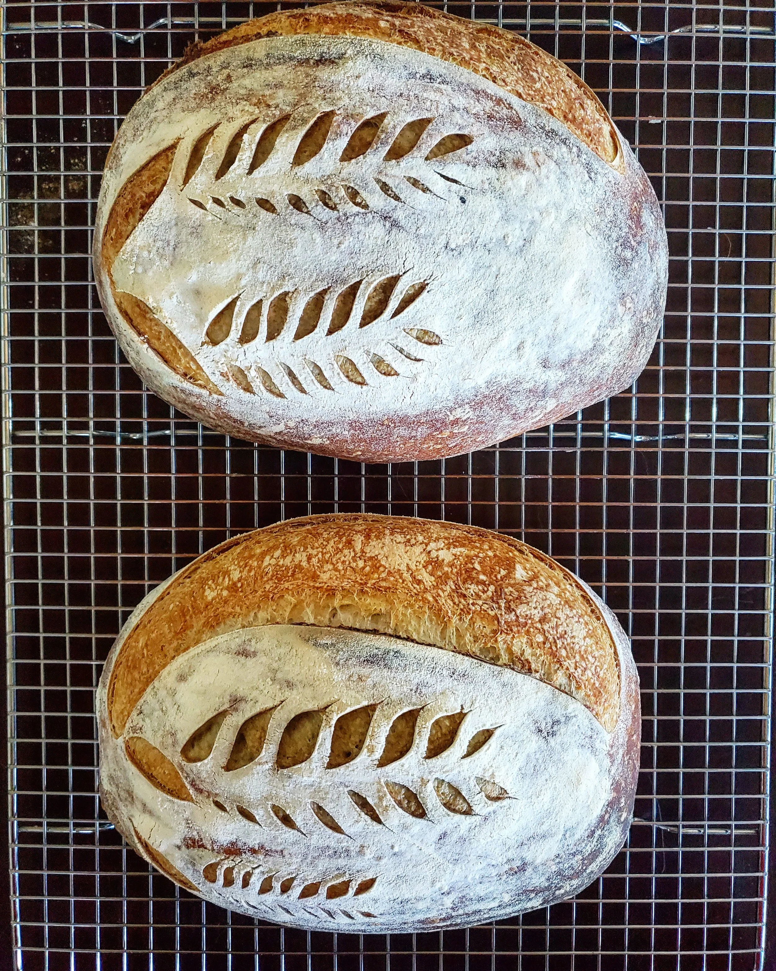 artisan sourdough.jpg