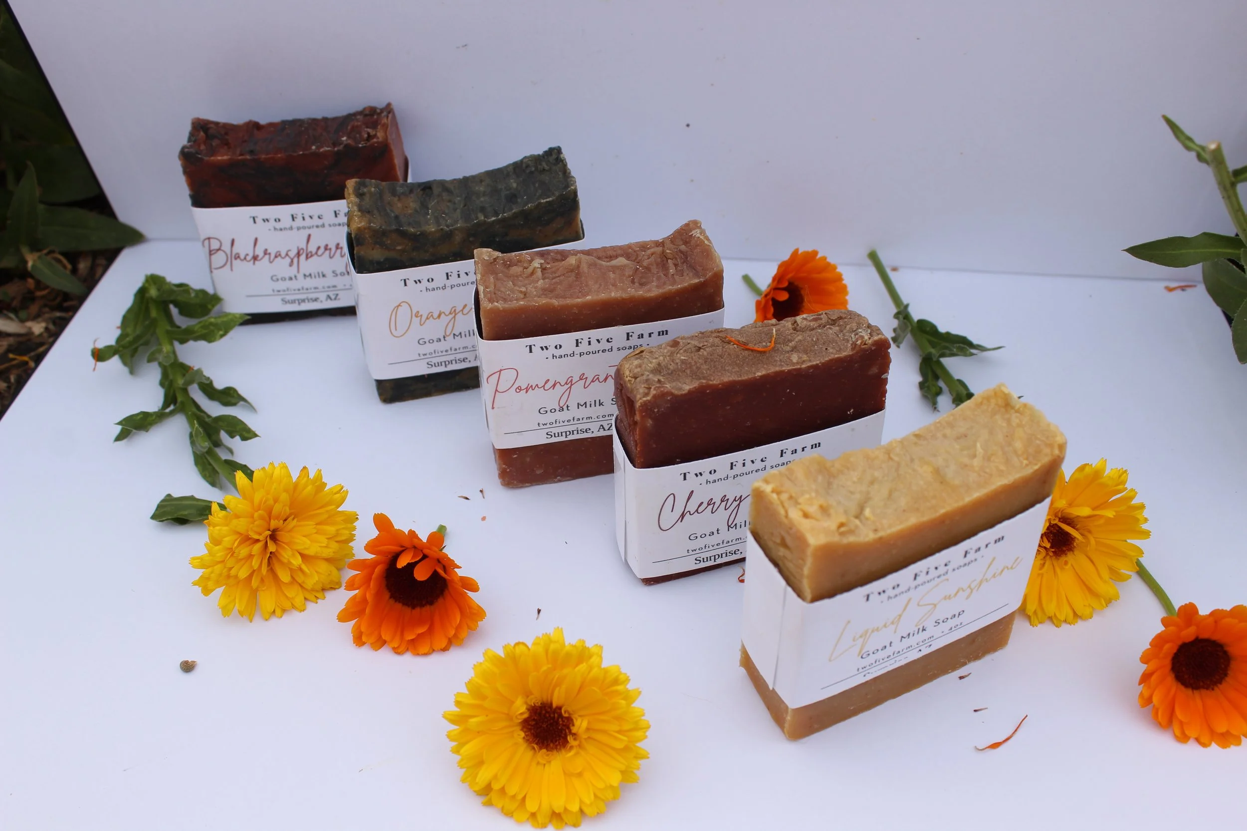 Spring Farm Favorites Bundle