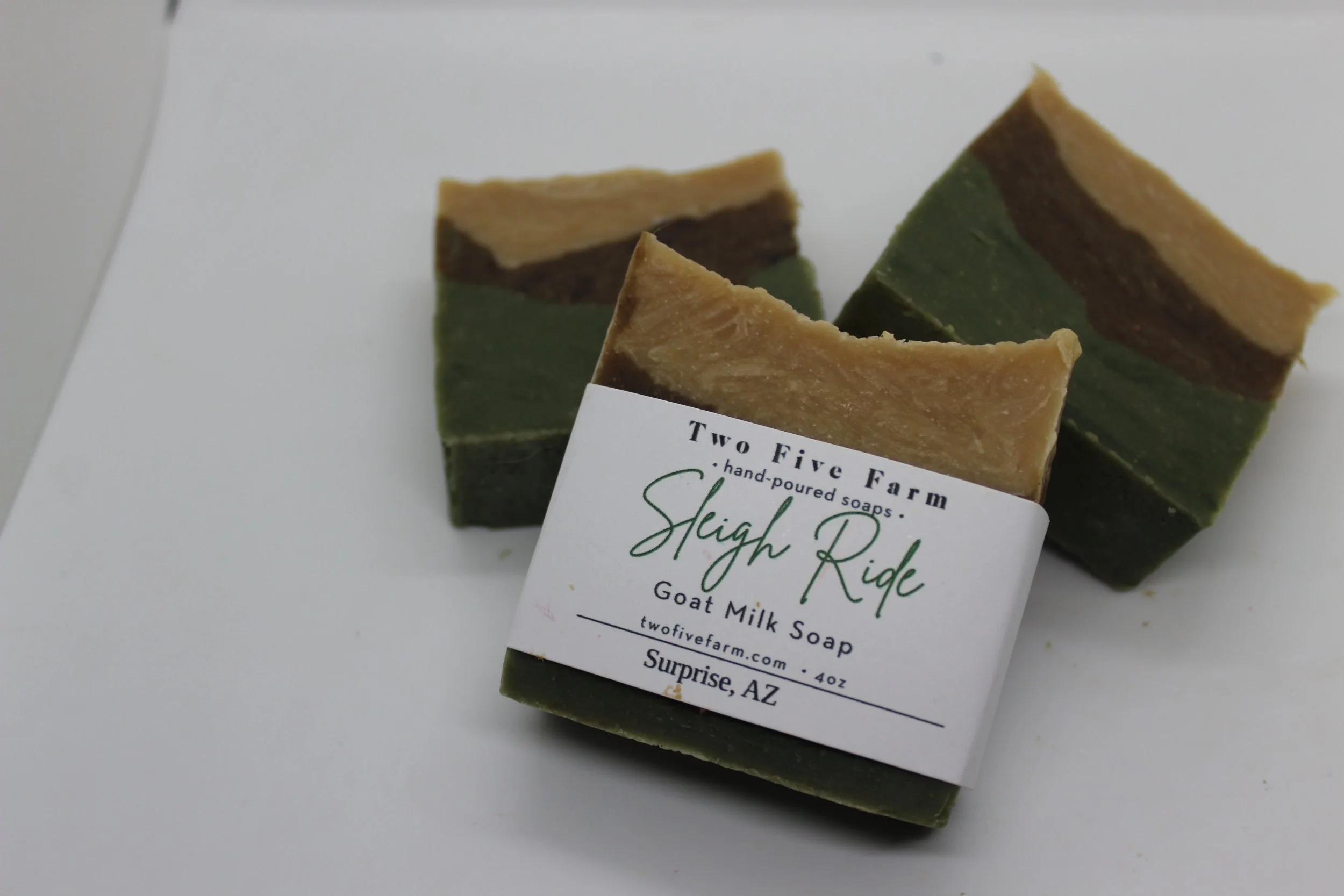 sleigh ride 2025.JPG