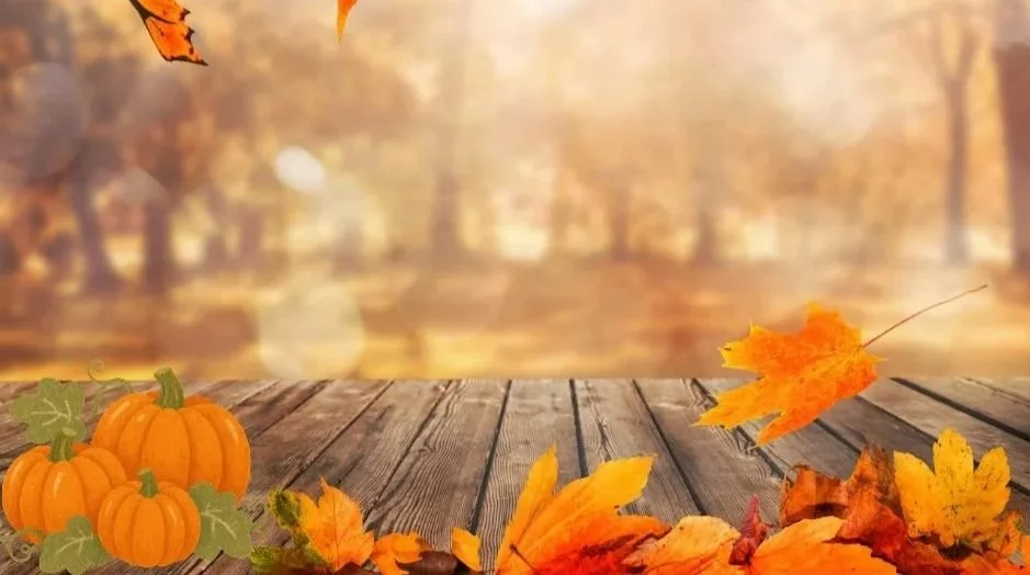 Orange Photocentric Coming this fall Facebook Post.jpg