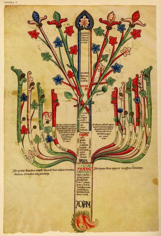 post-50279-The-Book-of-Trees-Visualizing-Sf8G.jpeg