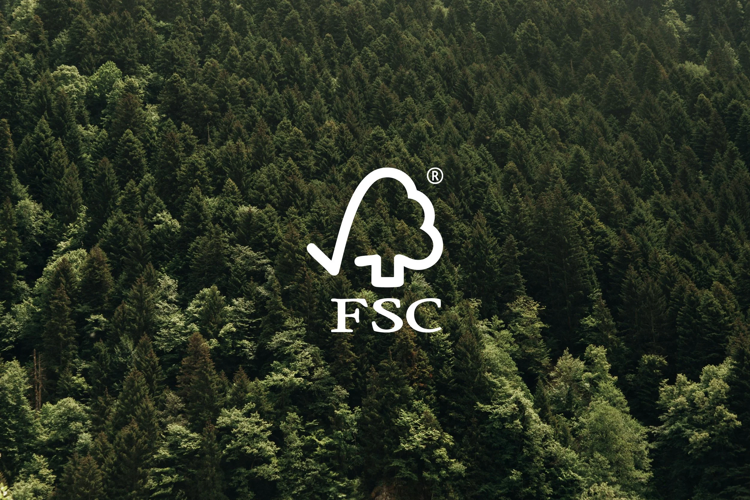 FSC: sustainability from the ground up