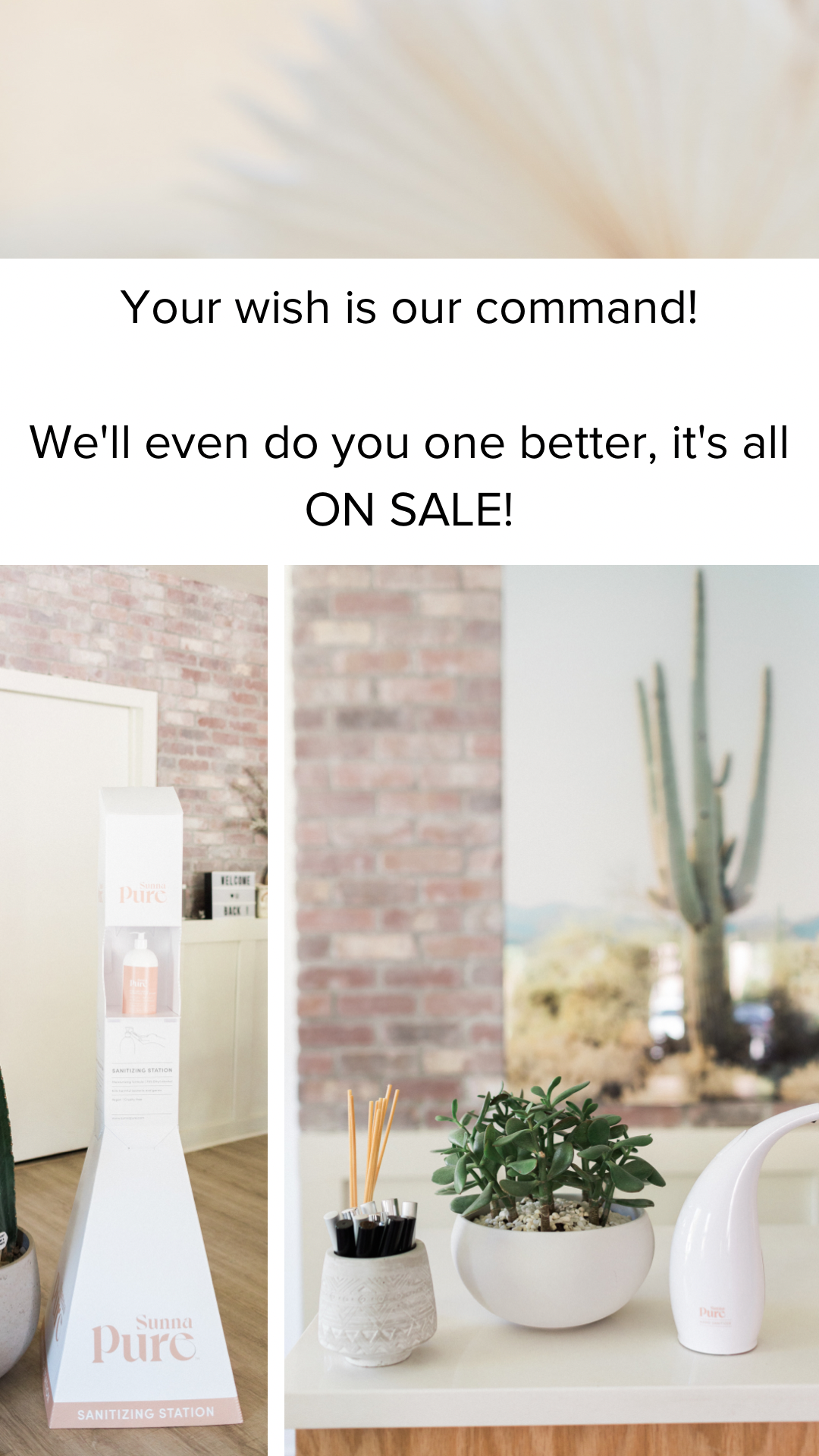 Image from iOS (1).png