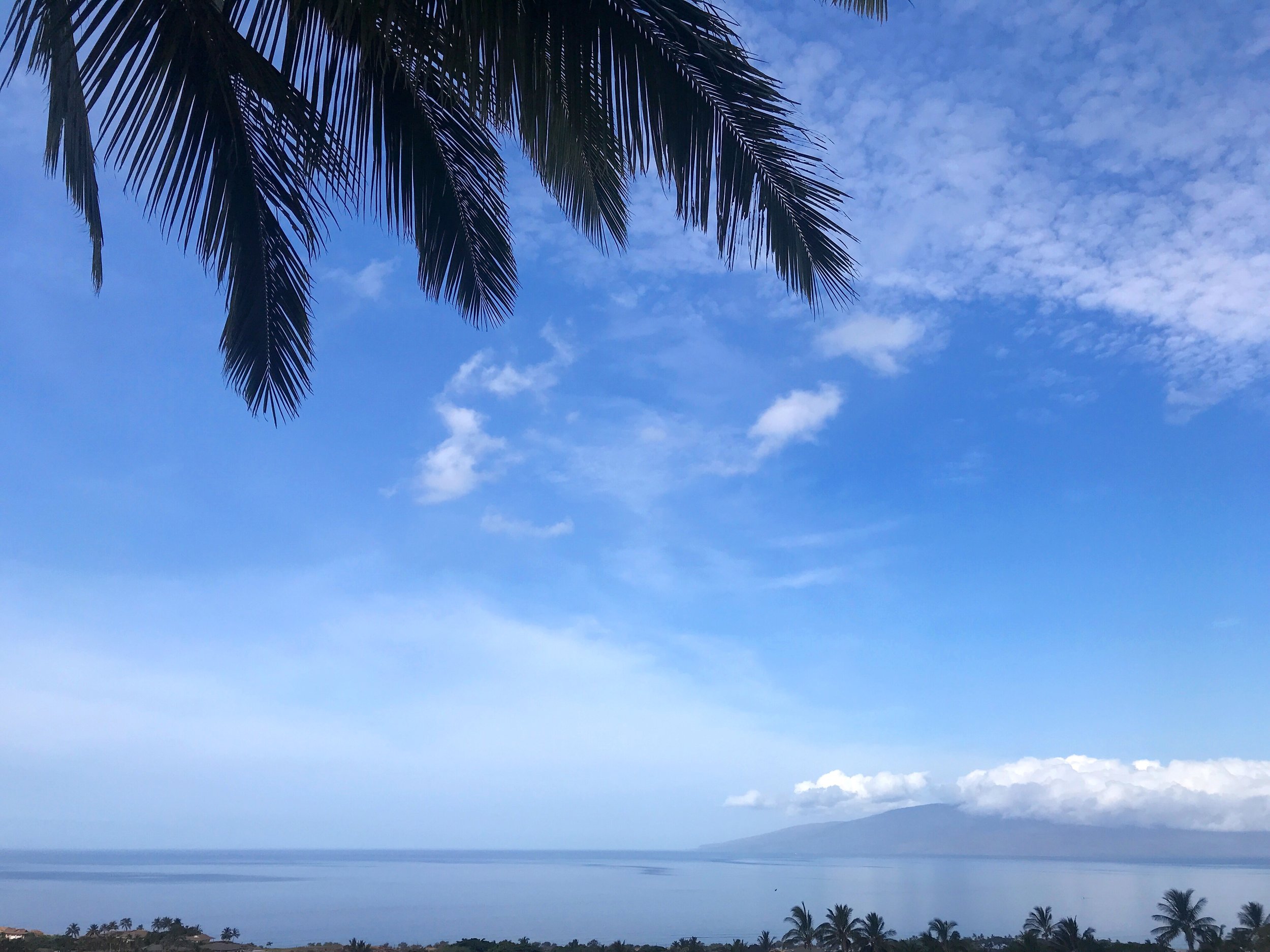 A Hawaiian Vacation That Vegan Dreams Are Made Of