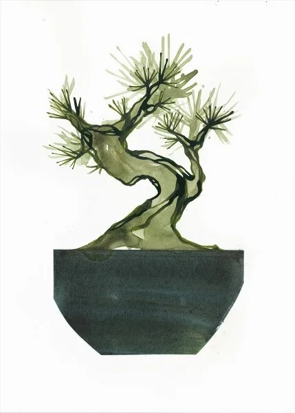 BONSAI 2.jpg
