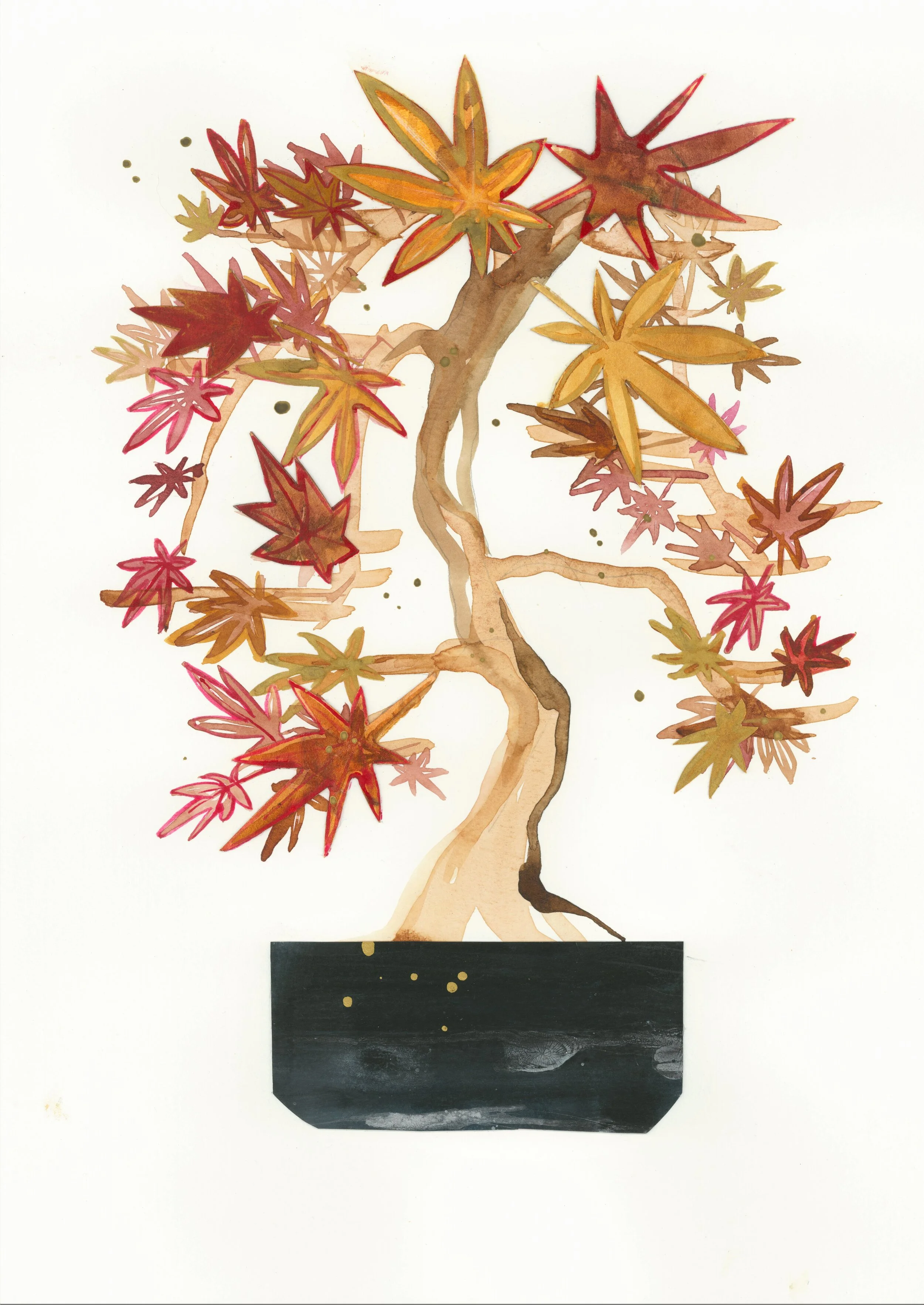 BONSAI 6.jpg