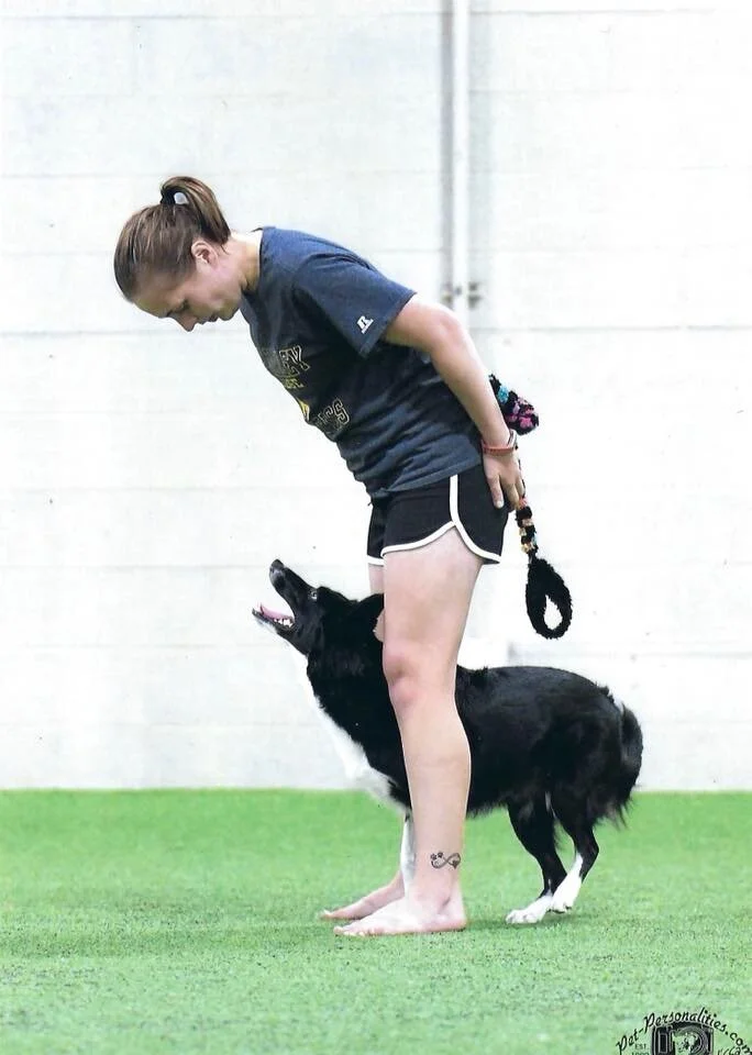 Puppies and Young Dogs with Emily Klarman at UDog