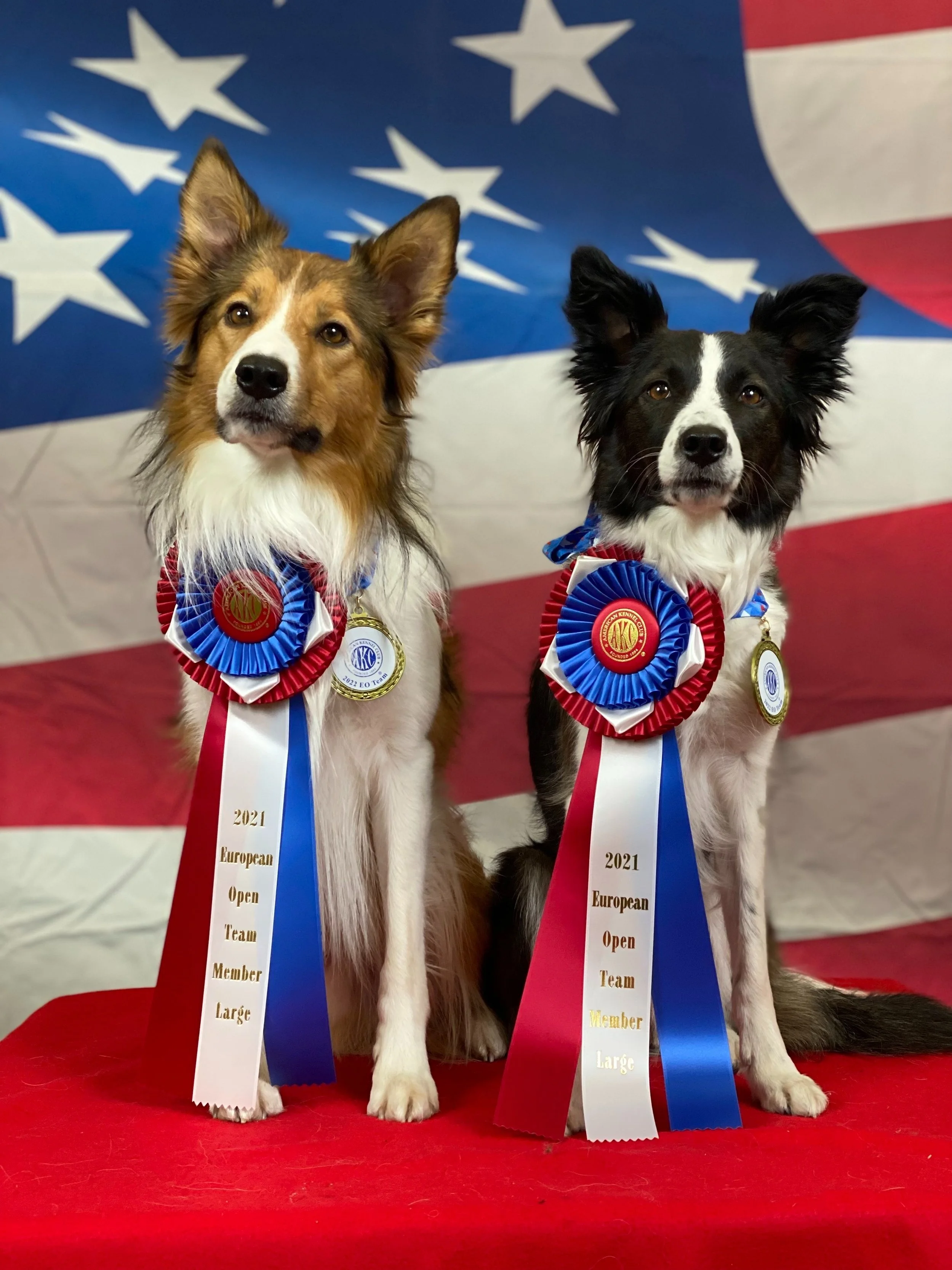 UDogs at EOTT