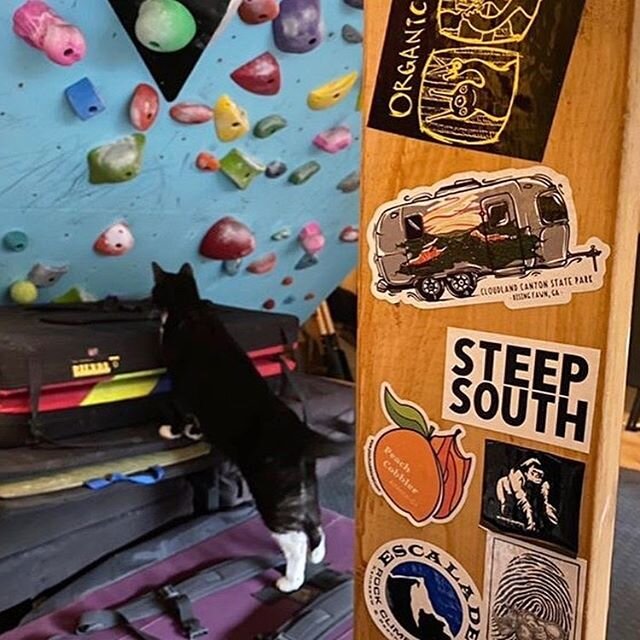 How many home gyms do you think have been built in the last month? 🤔 Thanks for staying inside and getting creative with your training set up! Cheers to all the fellow climbers out there crushing projects in the garage and backyard. 💪🌳🏠 #climbsou