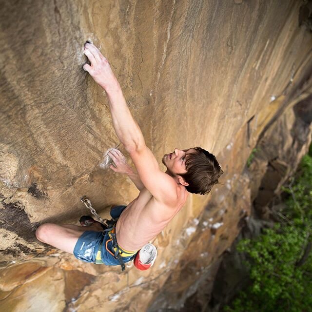 Another #tbt from the 📸 @bucktown_sweetback archives. @windowheel grabbing a perfectly sculpted pocket on Annihilated (5.13a) in Russellville, Arkansas. 🤩 #climbsouth #sportclimbing #ozarkansas