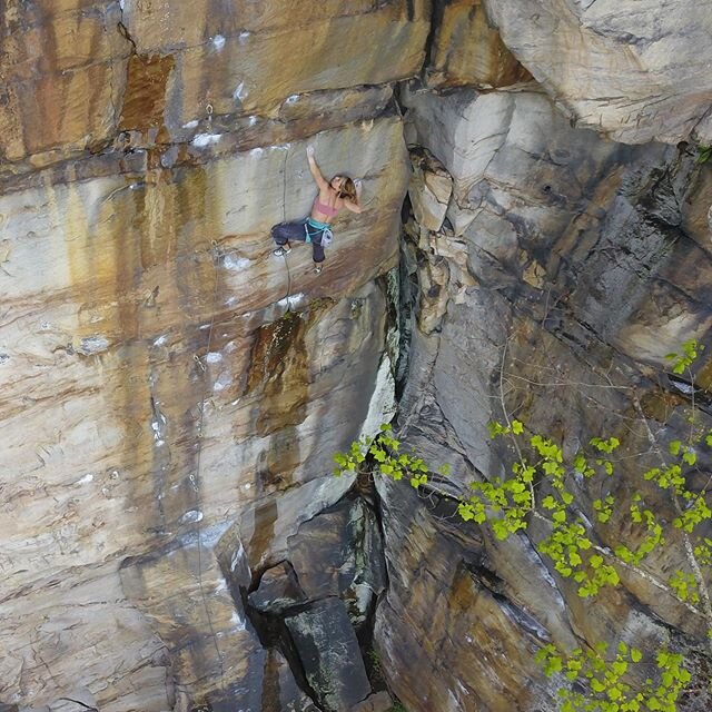 Lock offs for the win. 🙌🏆 Routes don&rsquo;t get much prettier than this. 😍 @sierrahaven11 on Thunderstruck (5.12b) at the New. 📸 @crimp_scampi #climbsouth #newrivergorge #kaymoor #girlswhoclimb