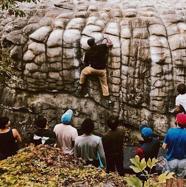 You know how much we love southeast climbing videos. 😍 And this one is absolutely the most important one to be watching right now (link in bio). @j_greeny made this short video last year at @colorthecrag and the message rings true today as we battle