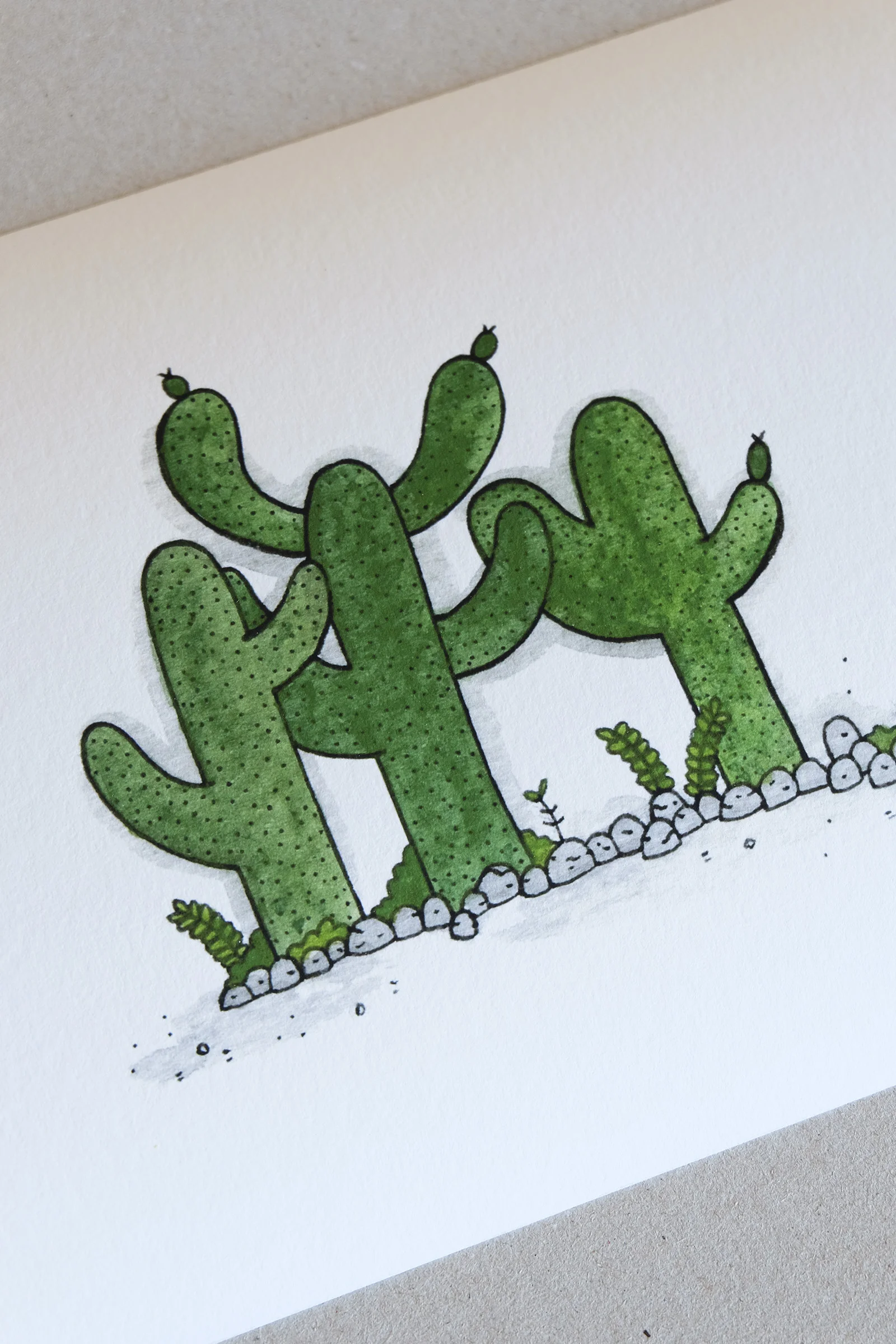 Cactus_2_1600.jpg