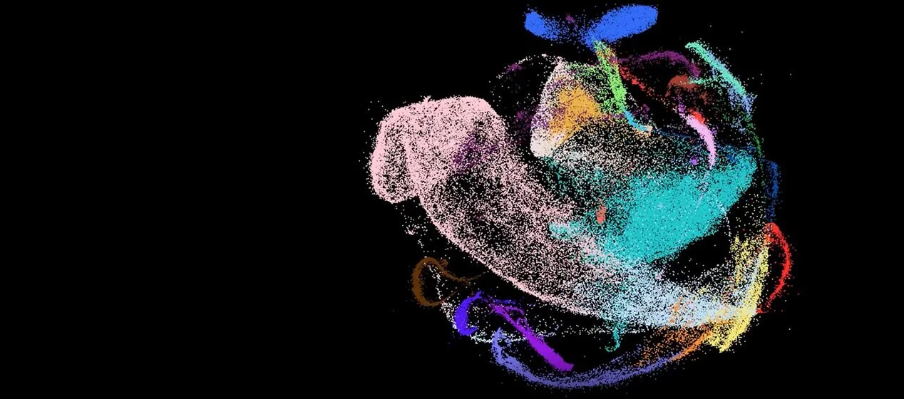 Immunai Emerges from Stealth with $20M in Funding to Map The Immune System