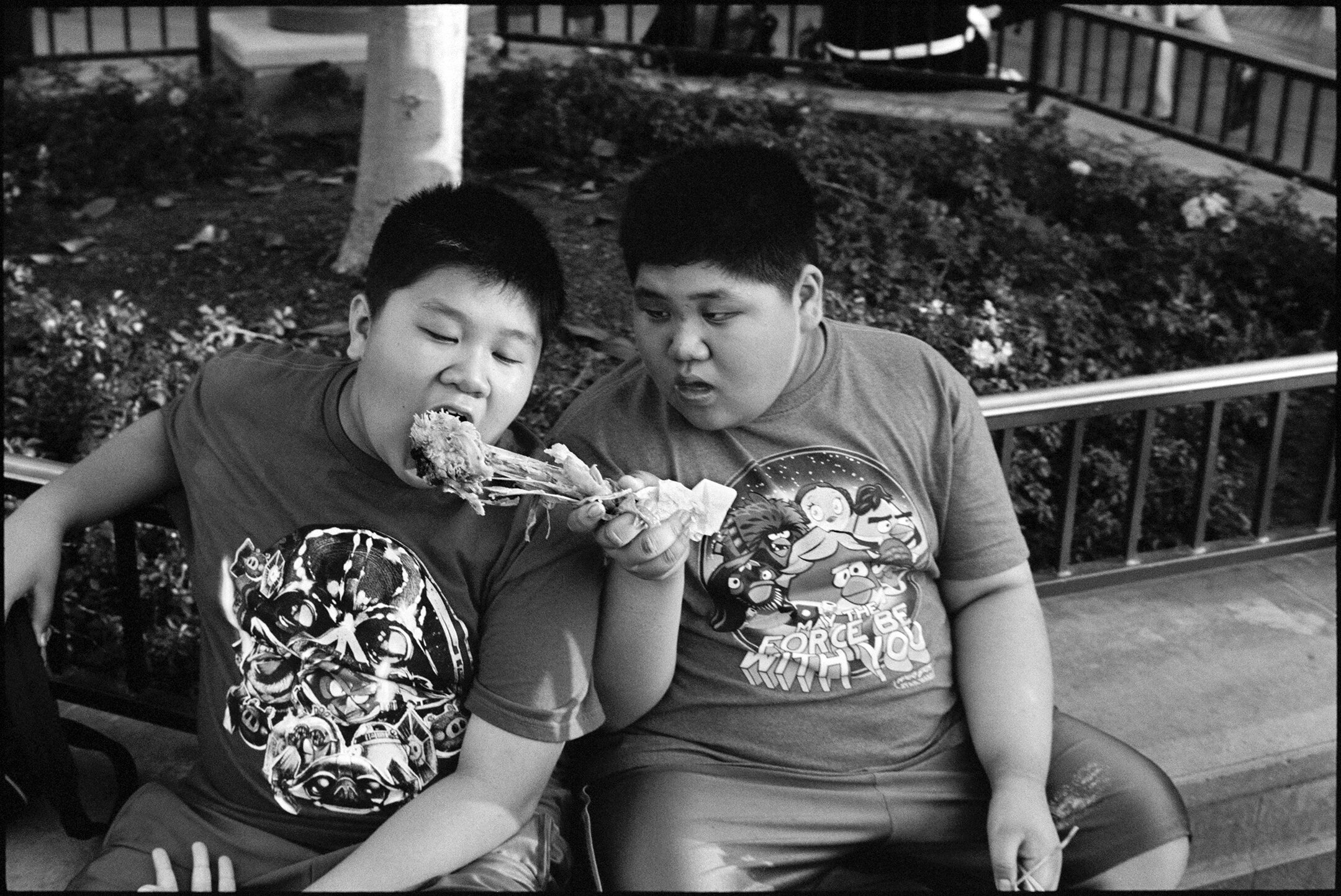 Two boys eating chicken Disneyland.jpg