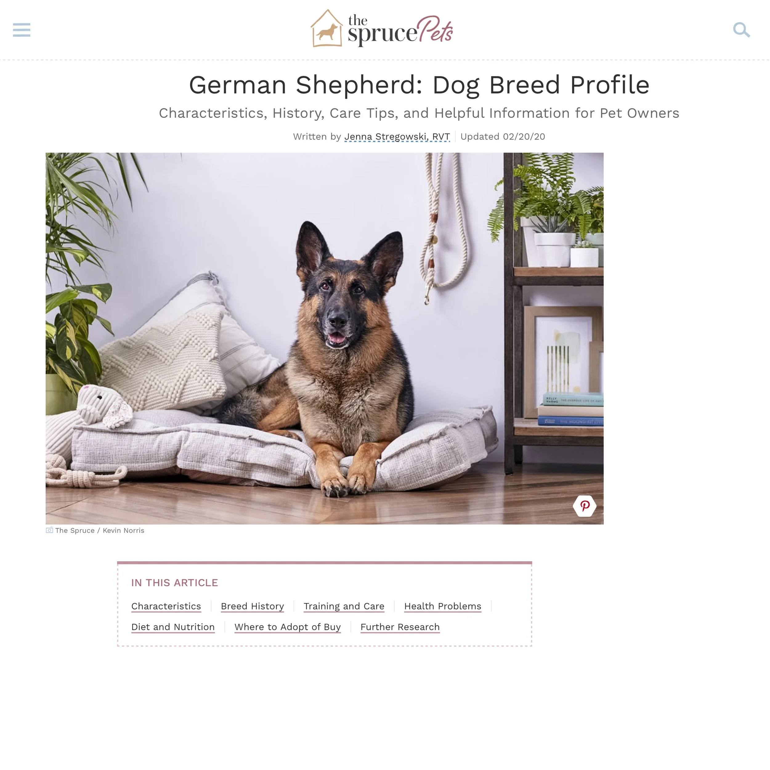 A German Shepherd dog sitting on a pet bed indoors, surrounded by houseplants and decorative items.