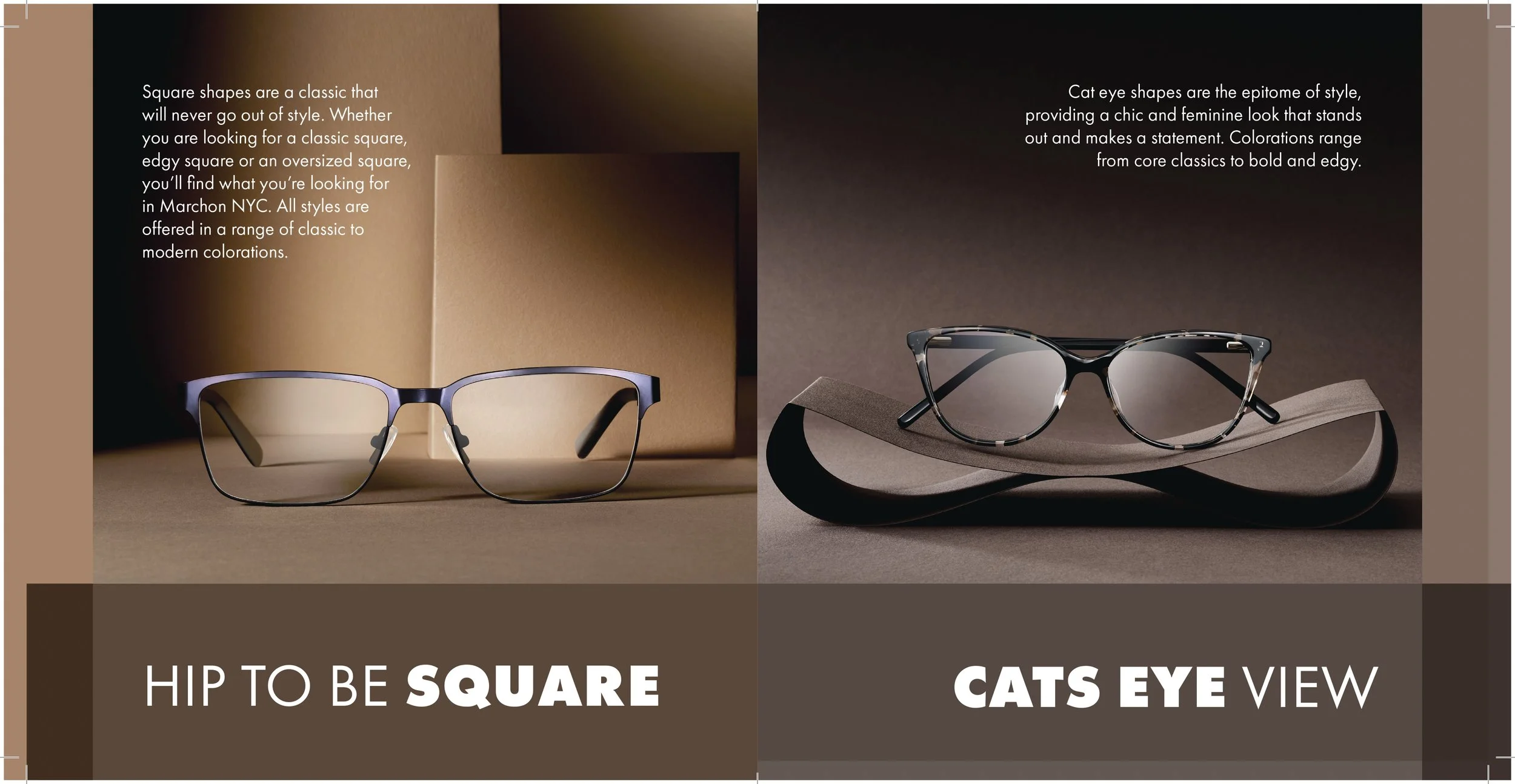 Two pairs of eyeglasses, one with a classic square frame on the left and one with a cat eye shape on the right, are displayed on a neutral background with informational text about different eyewear styles.