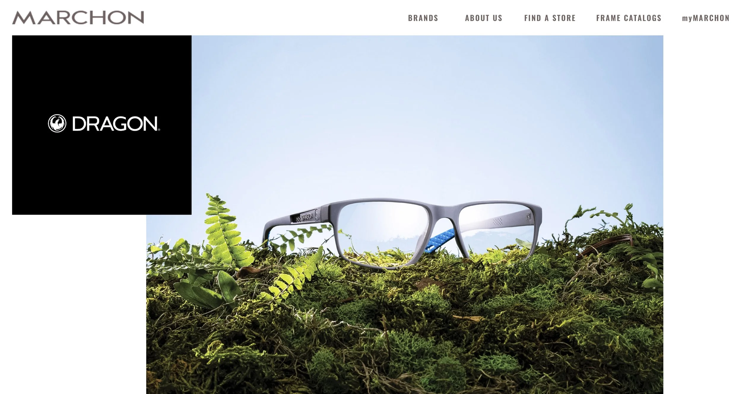 A pair of gray glasses resting on green moss and plants, with a clear blue sky in the background. The image features the Marchon logo on the top left and a large black Dragon logo on the left.