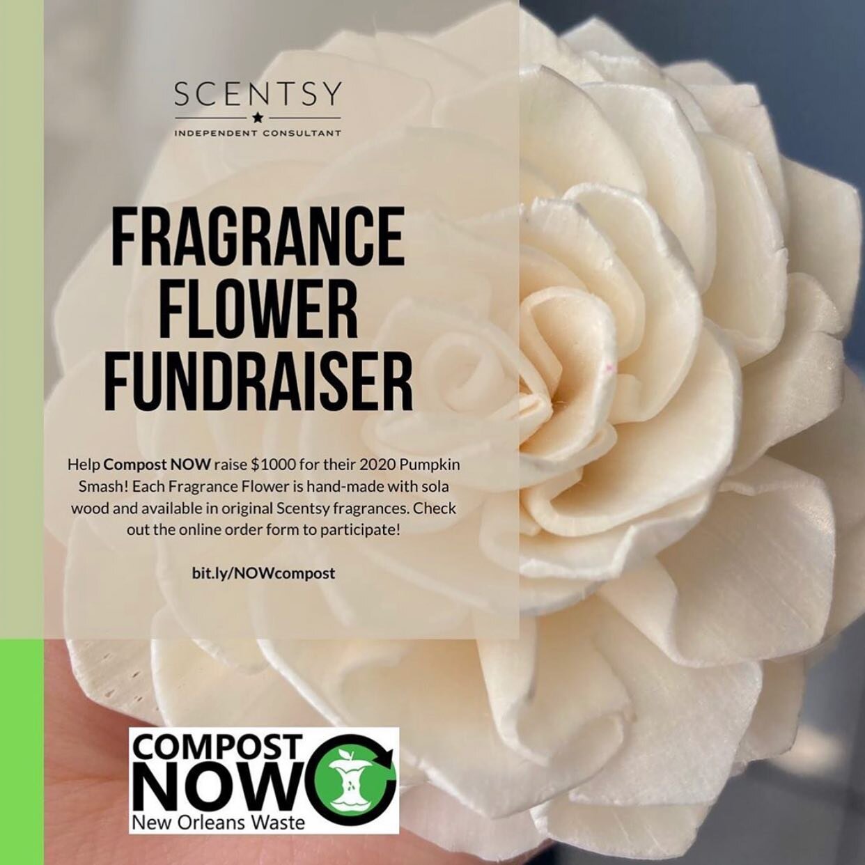 Help us raise funds for our annual Pumpkin SMASH by ordering a fragrance flower! 25% off all proceeds will go to Compost NOW so we can divert thousands of pounds of pumpkins from landfills this holiday season! See the link in our bio to learn more an