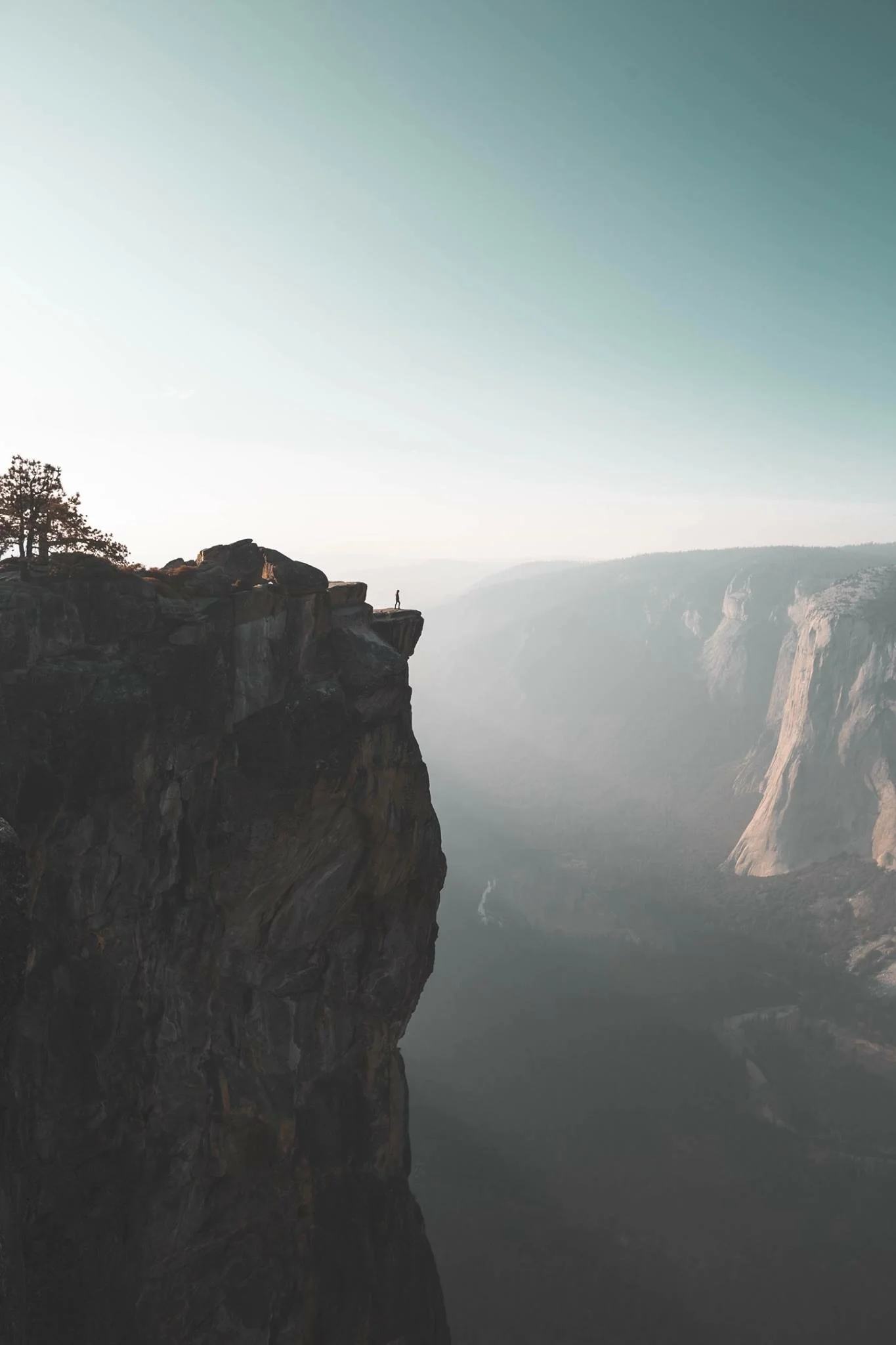  These images speak for themselves.  