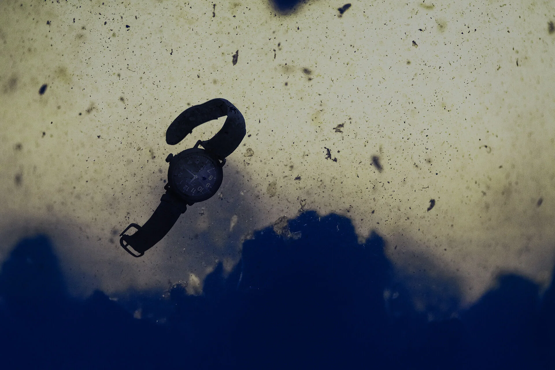 Shinola. Is this your Runwell?