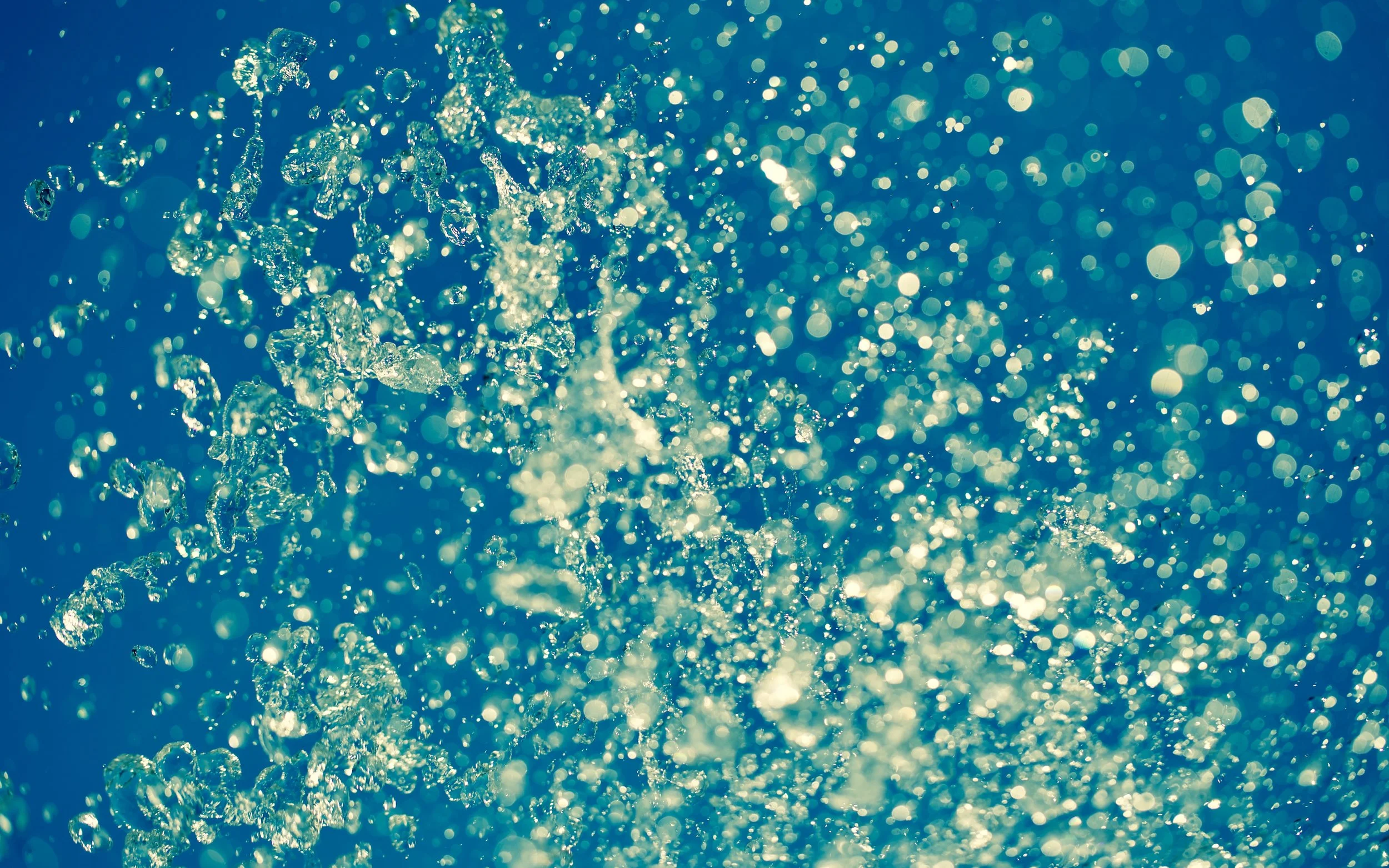 pexels-photo-534736.jpeg