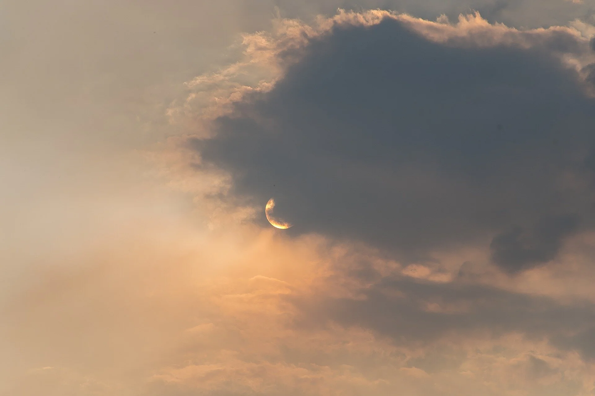 Support and assistance if you have been affected by the bushfires