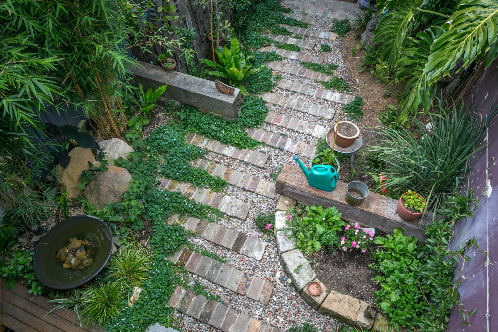 garden2.jpg