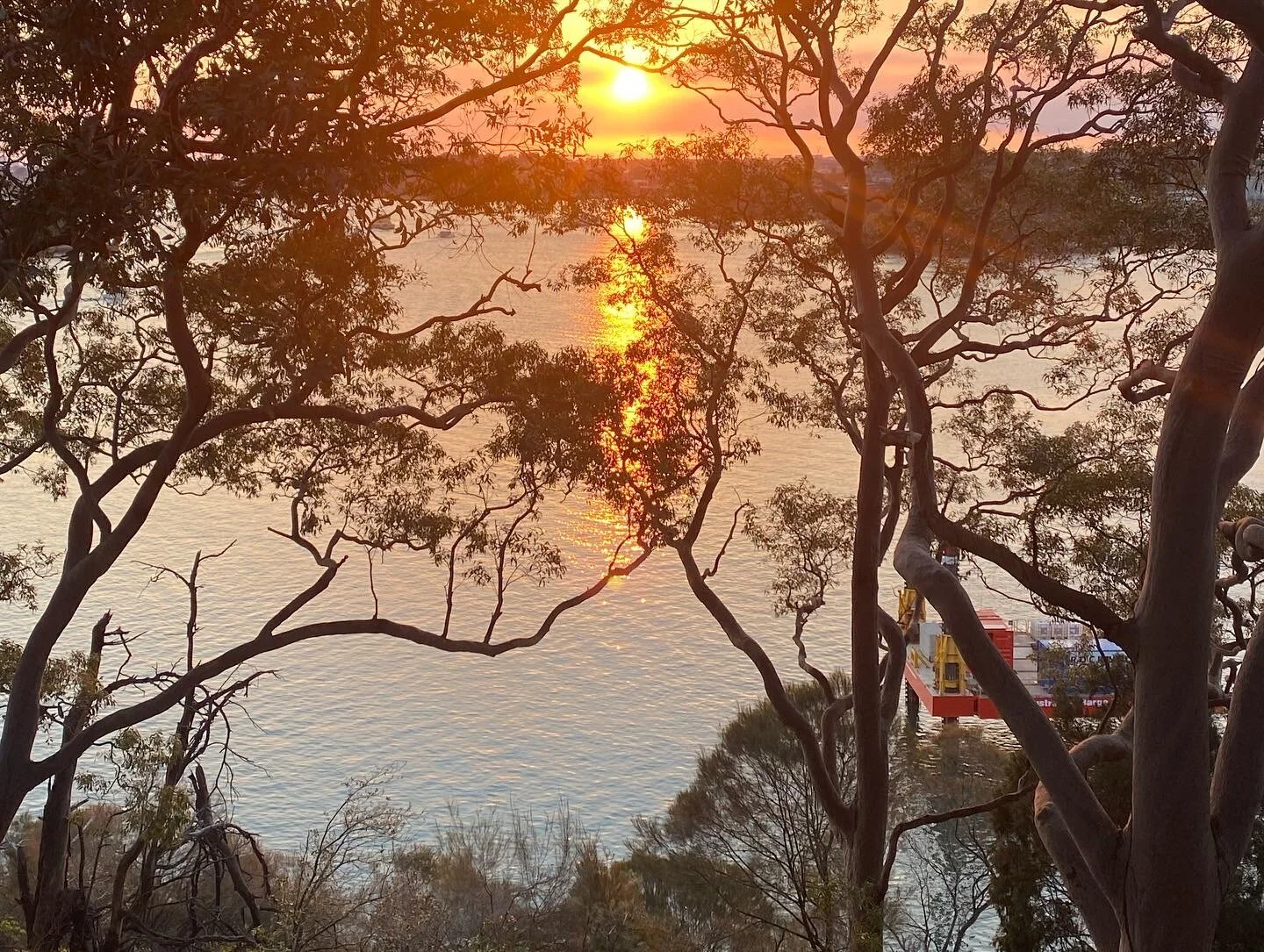 Building Better Futures Forum 17 August - midday