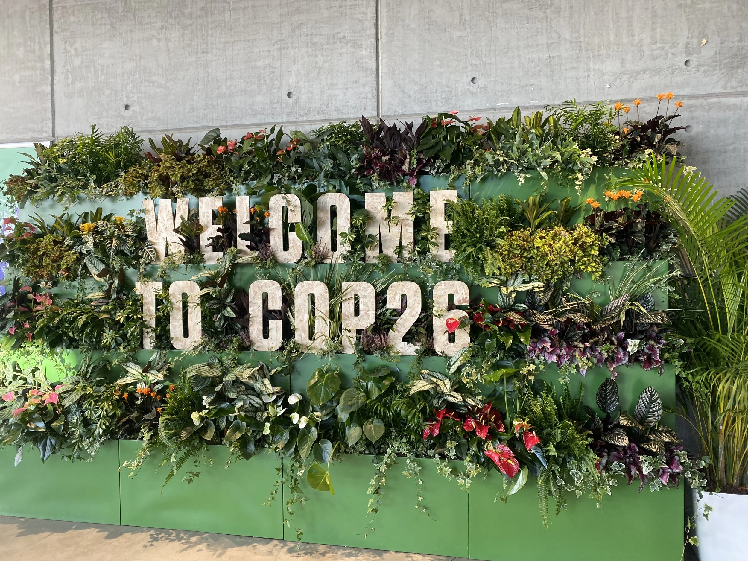 Images from Glasgow around COP26… signs