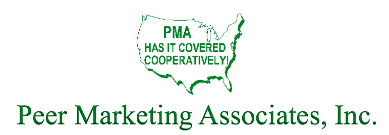 Peer Marketing Assocites INc — Peer Marketing Associates